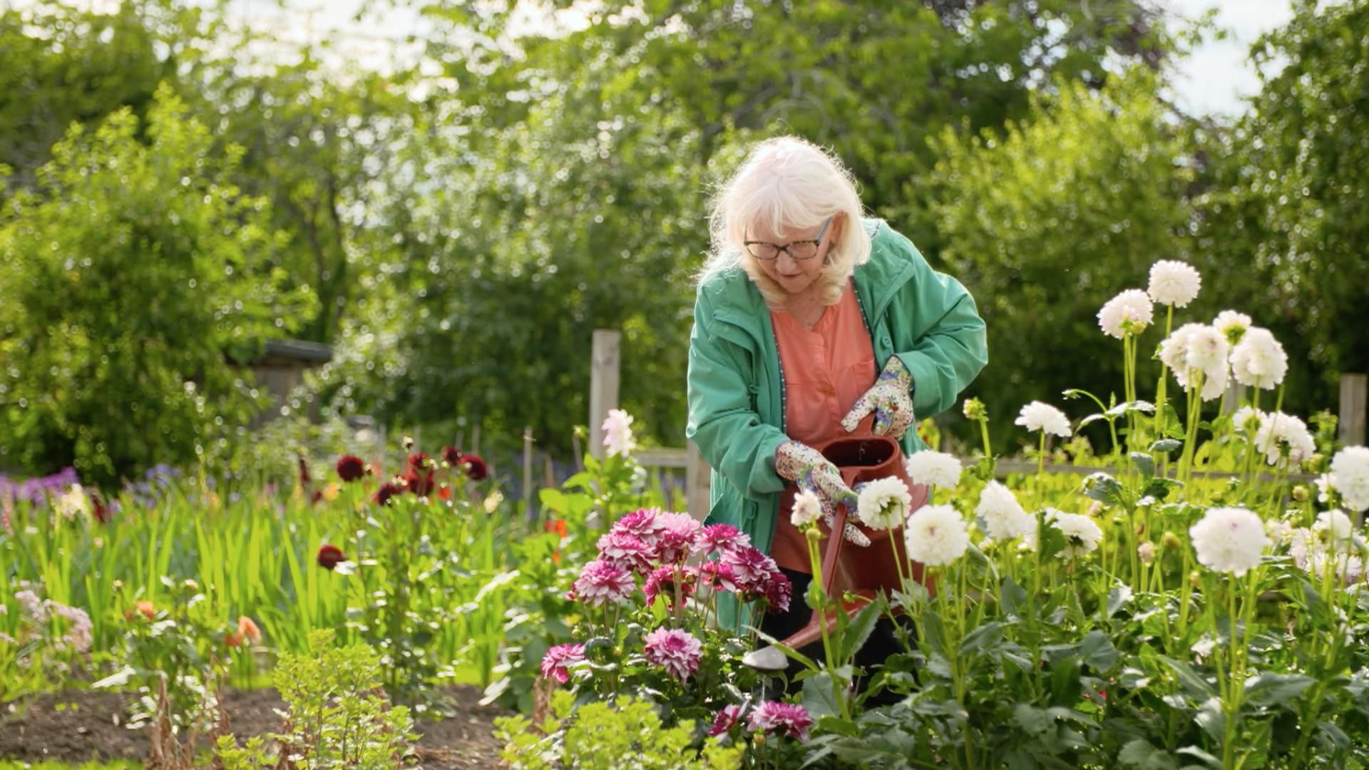 10 Steps to Murder background