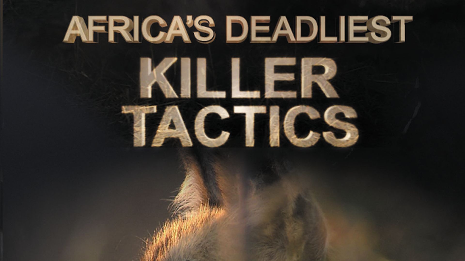 Africa's Deadliest background