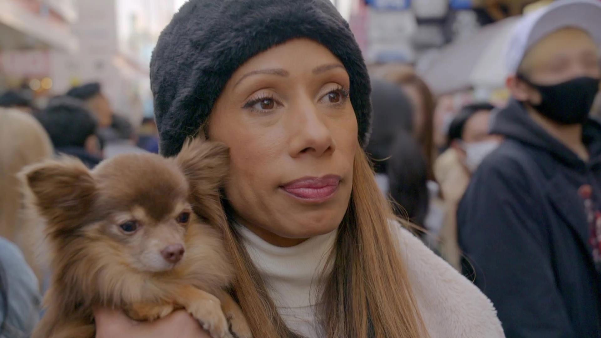 The Secret Life of Dancing Dogs background