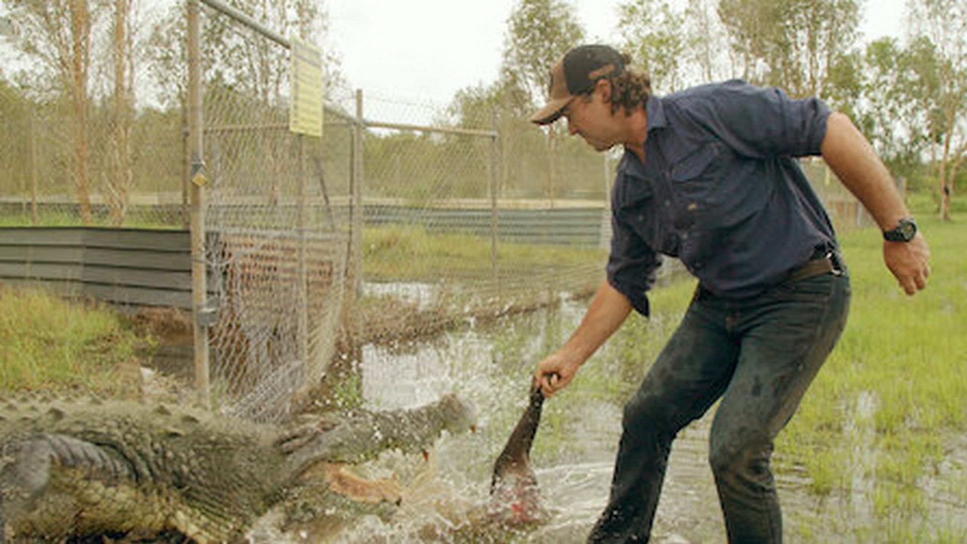 Matt Wright's Wild Territory background