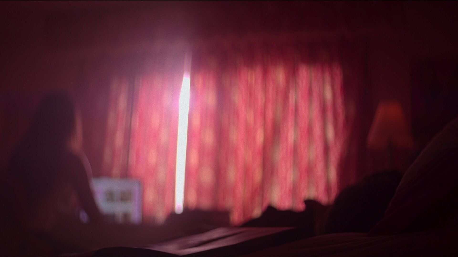 Crime Scene: The Vanishing at the Cecil Hotel background
