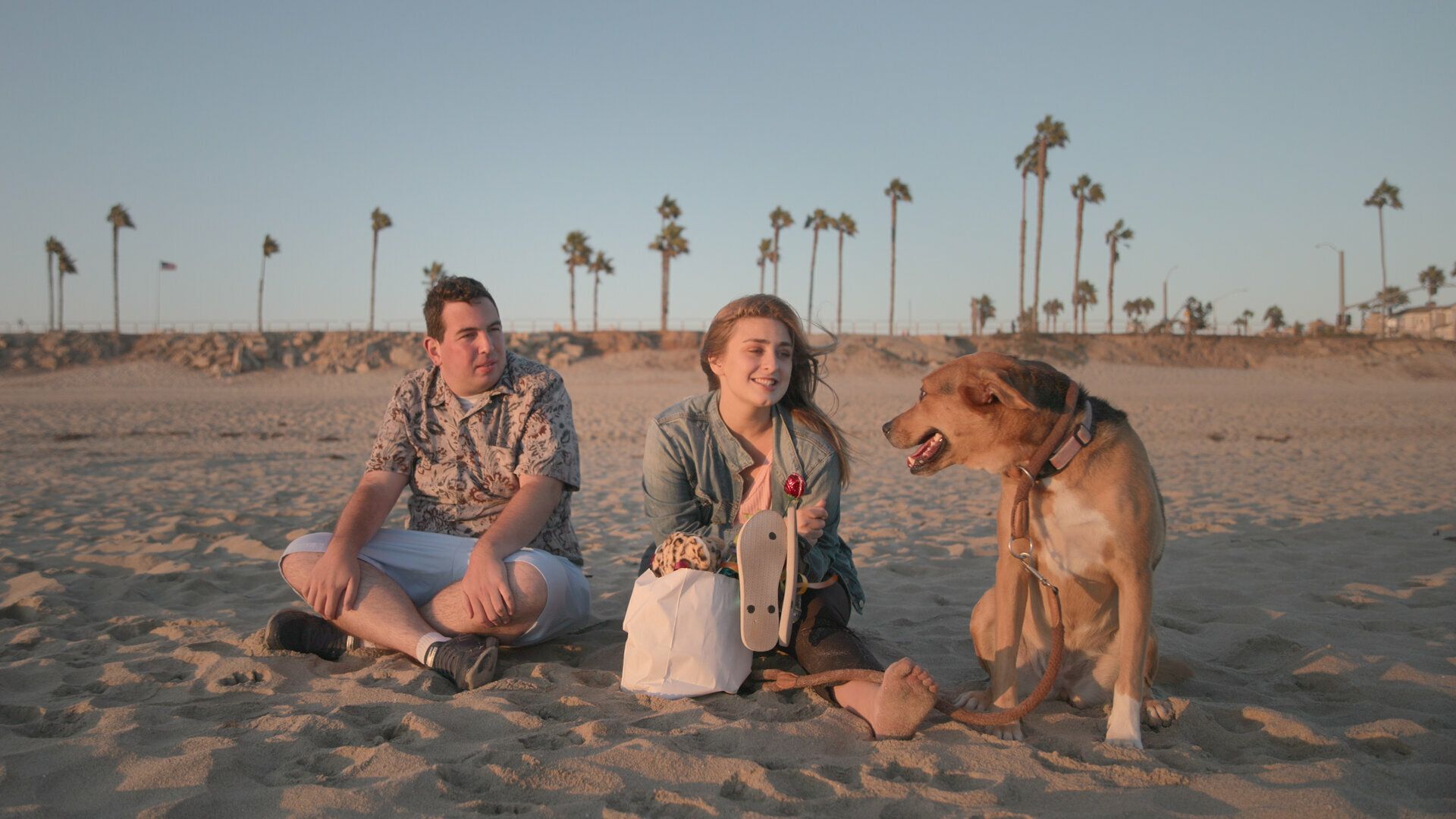 Love on the Spectrum U.S. background