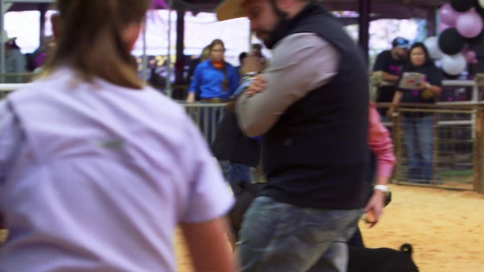 Pig Royalty background