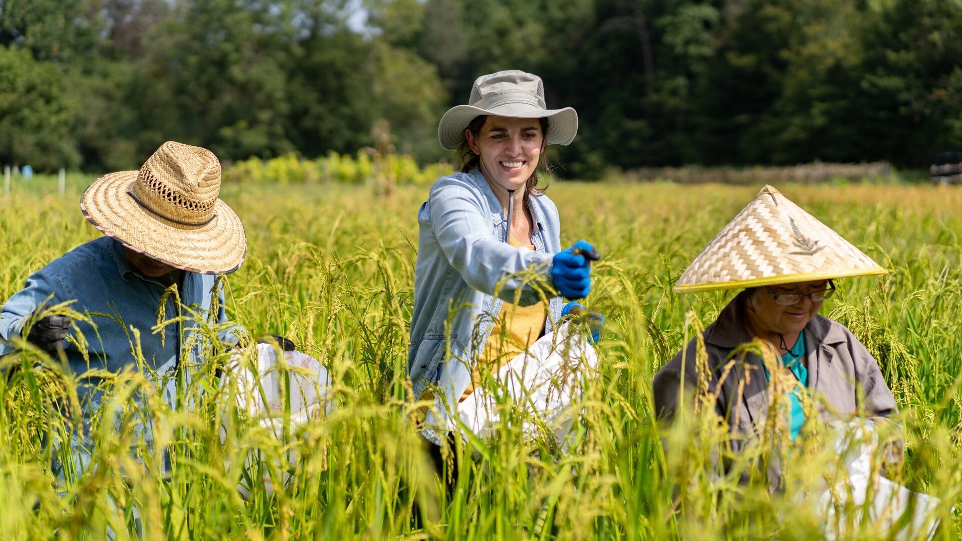 From the Source background