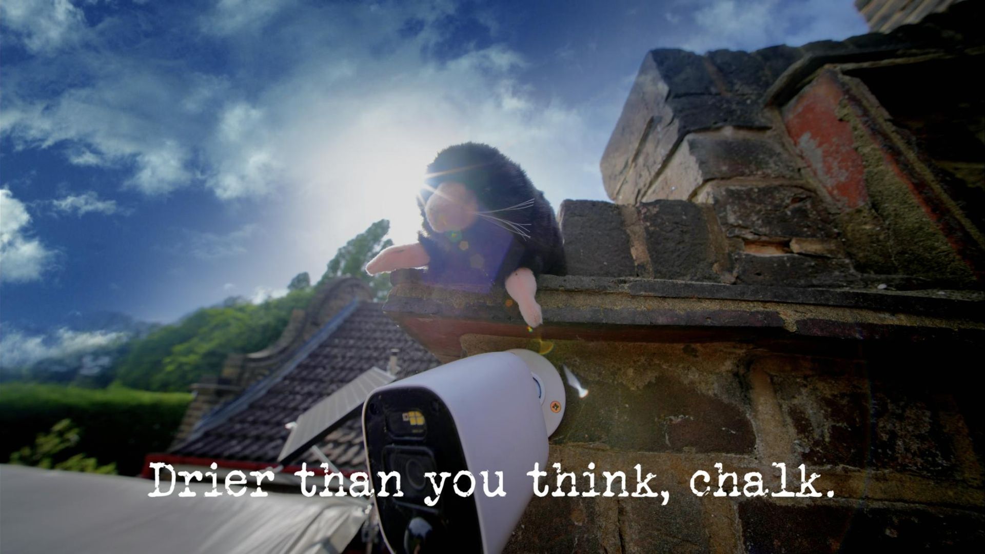 Taskmaster background