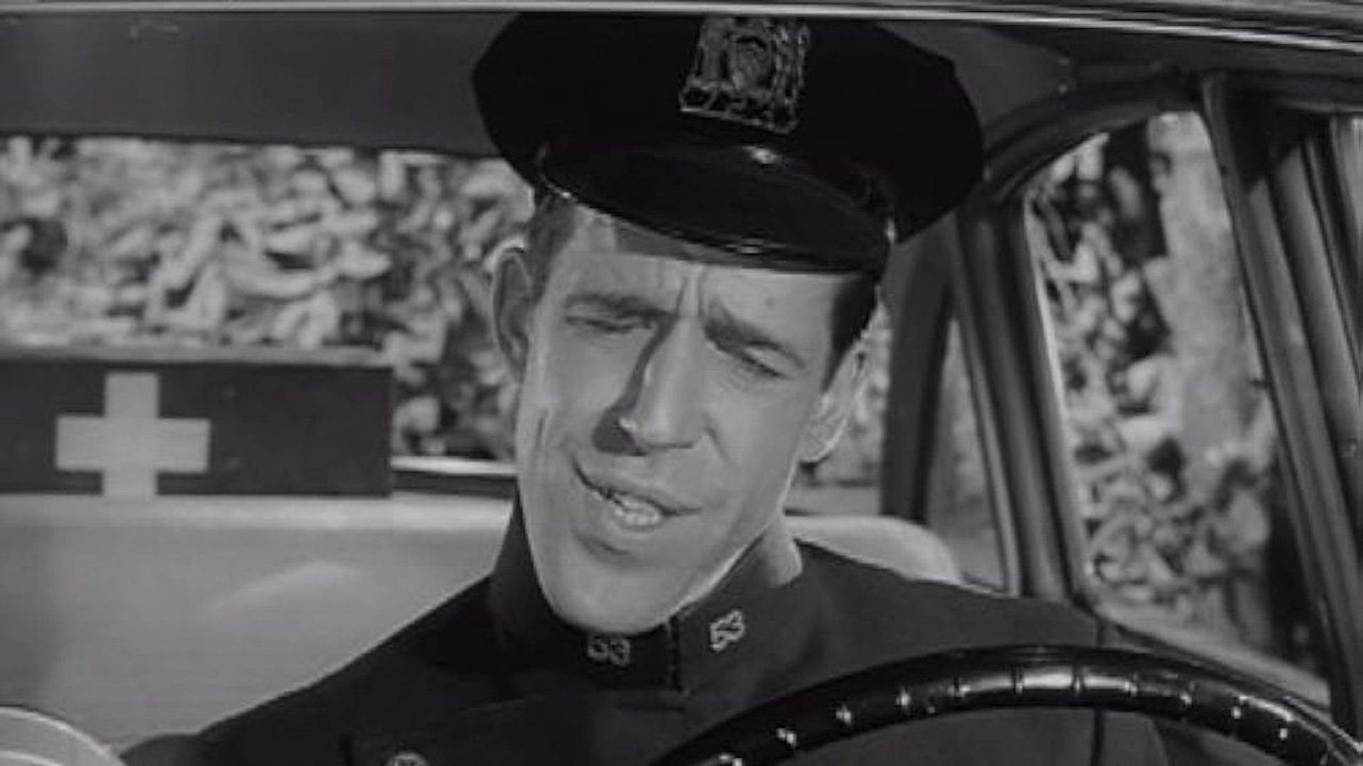 Car 54, Where Are You? background