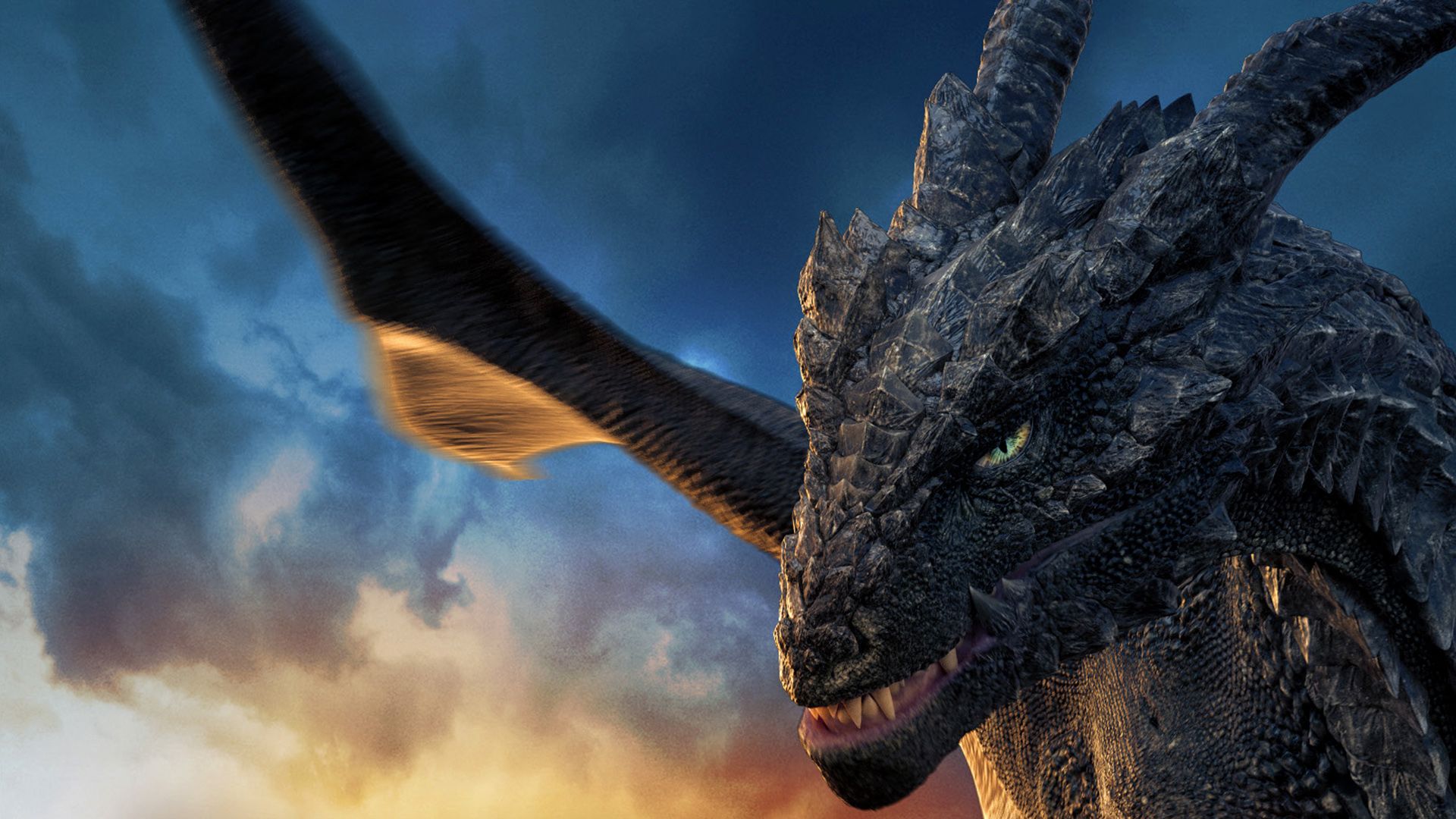 Dragonheart 3: The Sorcerer's Curse background