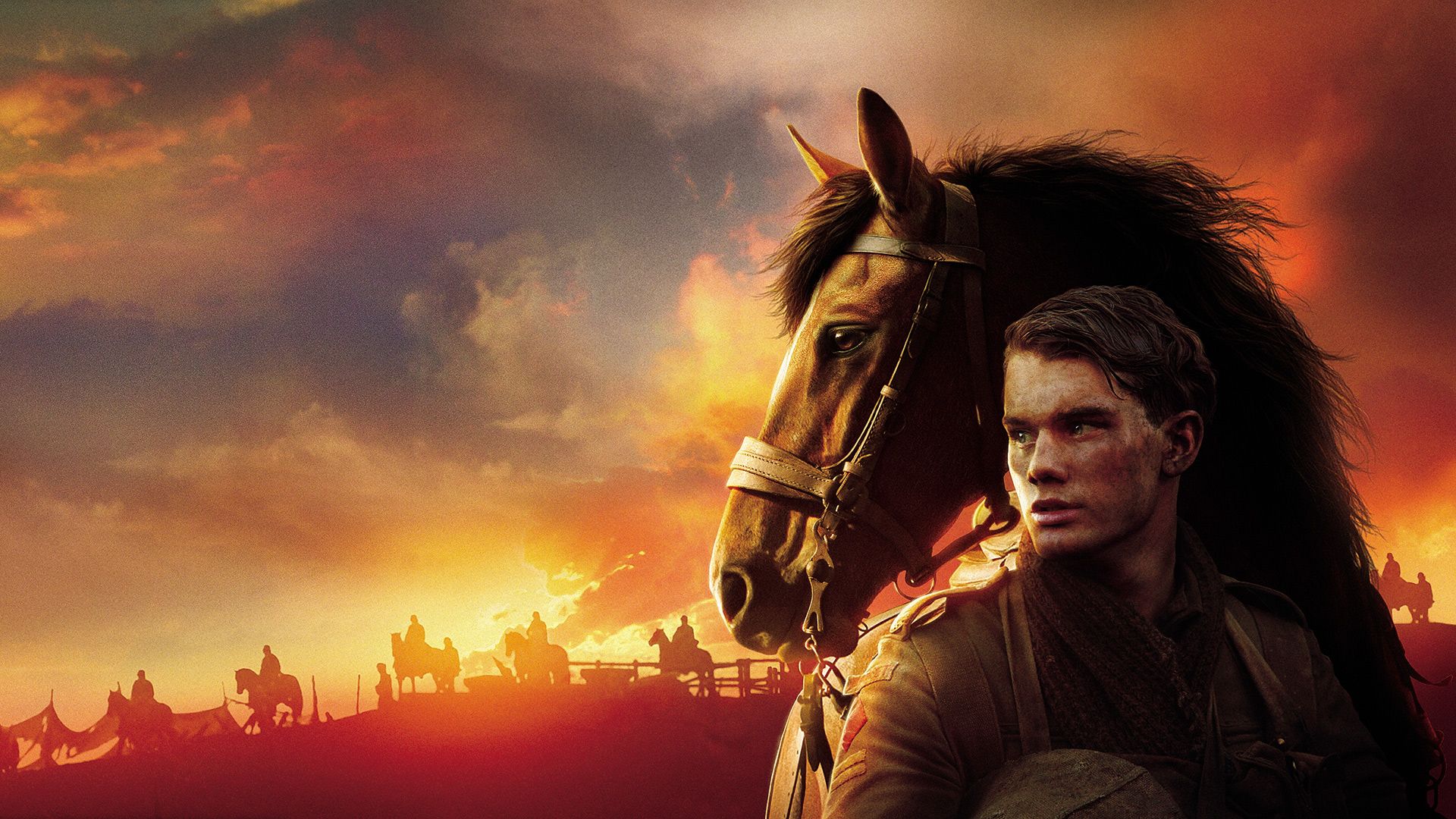 War Horse background
