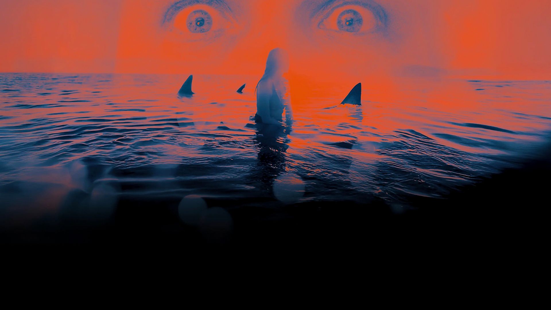 Dangerous Animals background