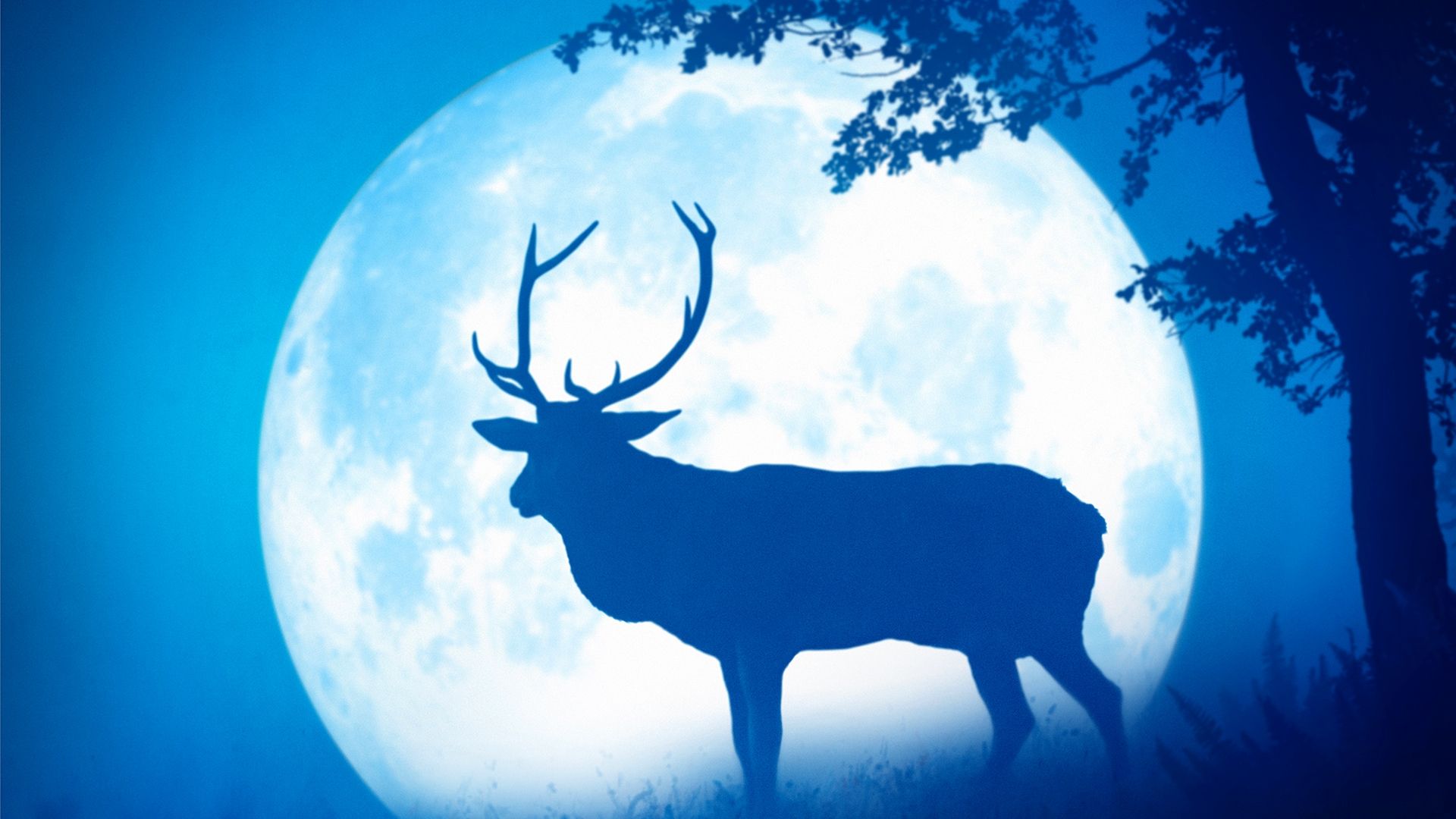Seasons background