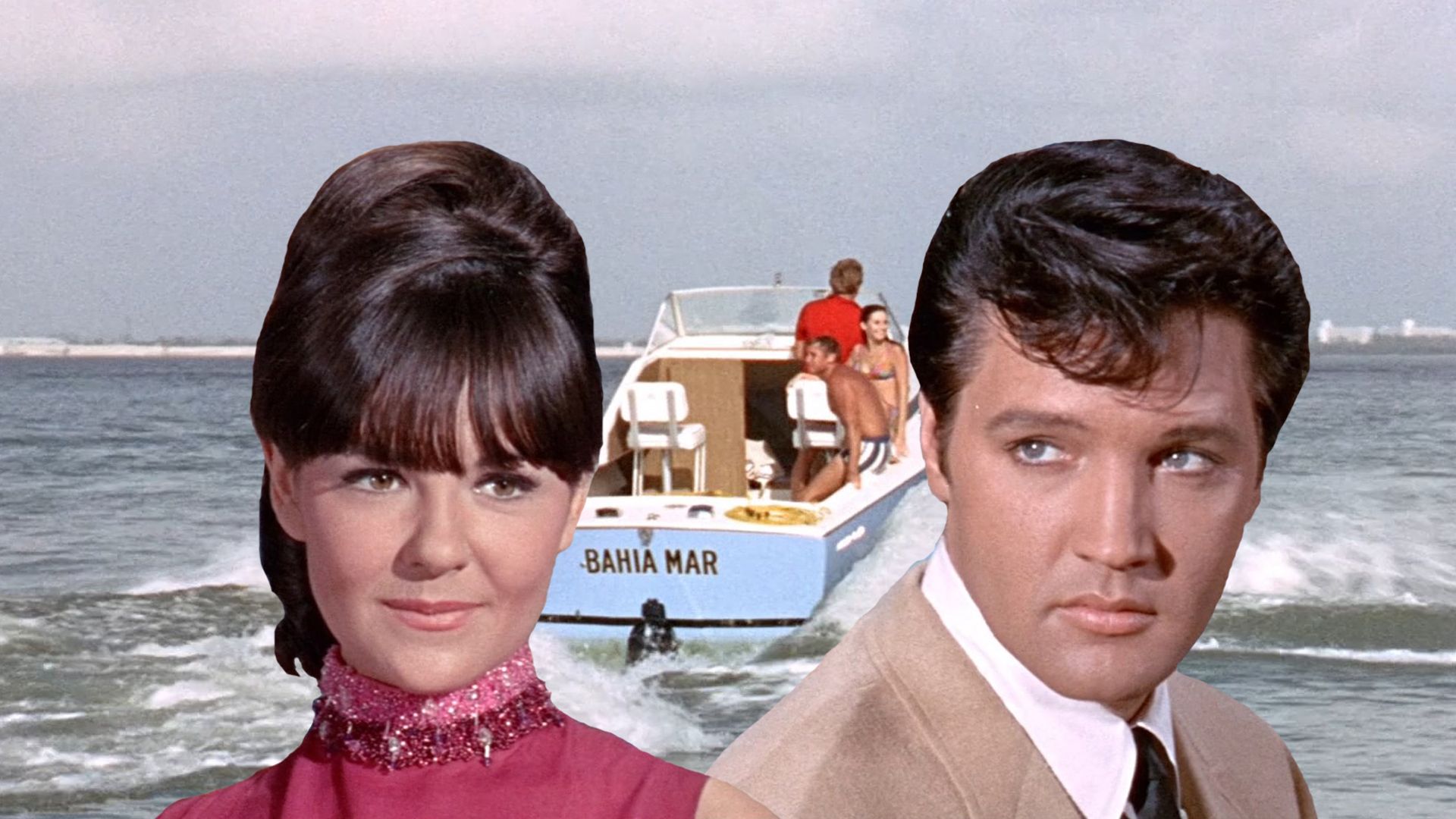 Clambake background
