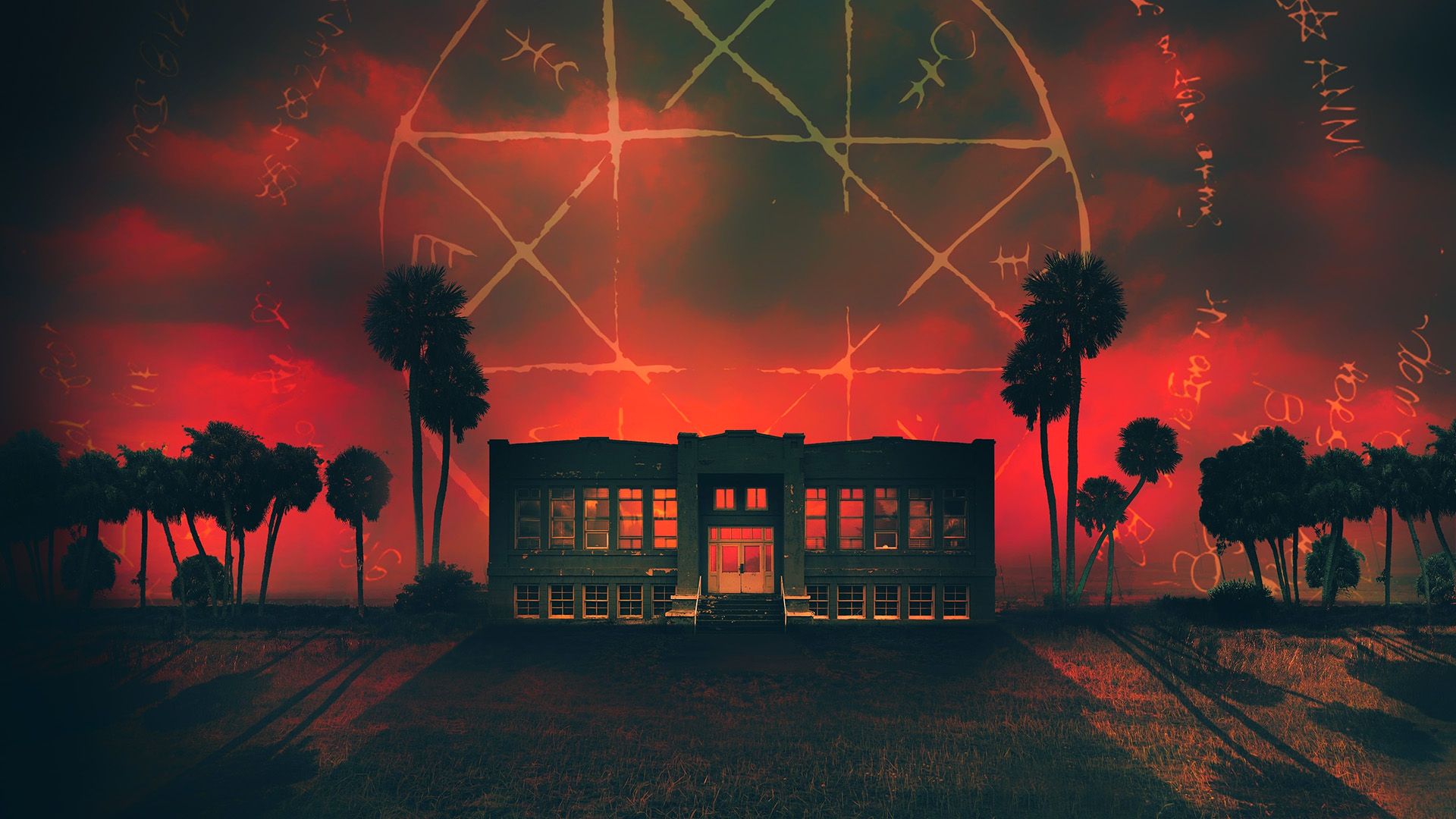 Shock Docs background