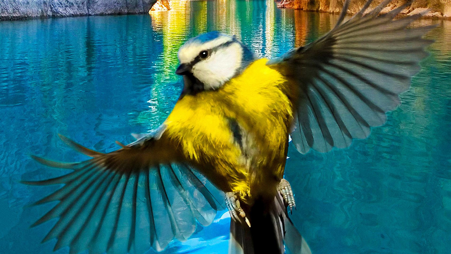 Experience Nature 3D background