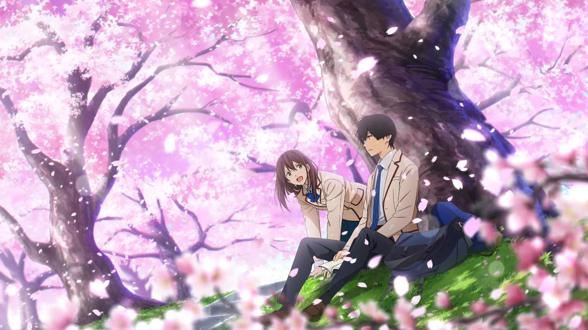 I Want to Eat Your Pancreas background