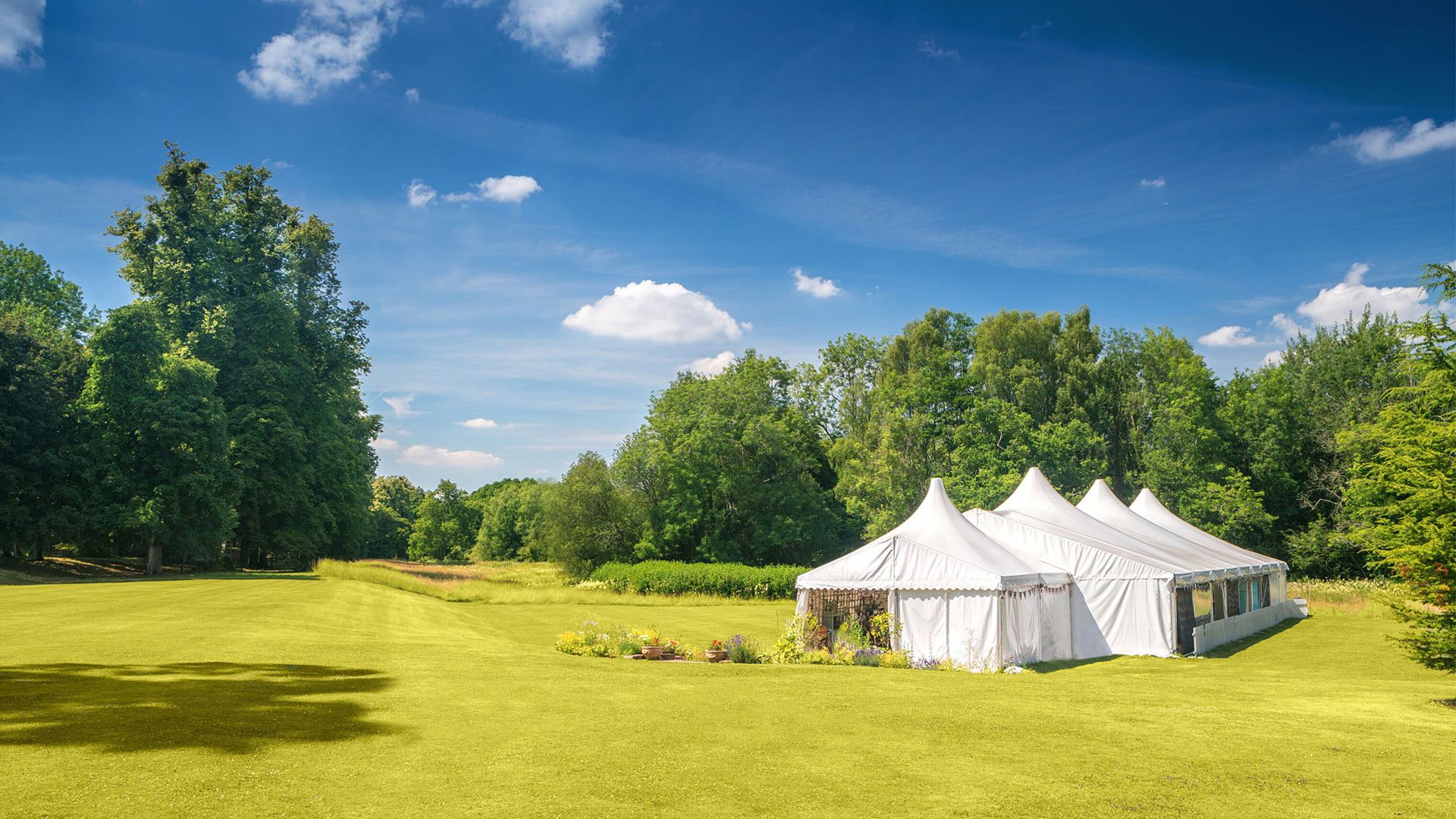 The Great British Baking Show background