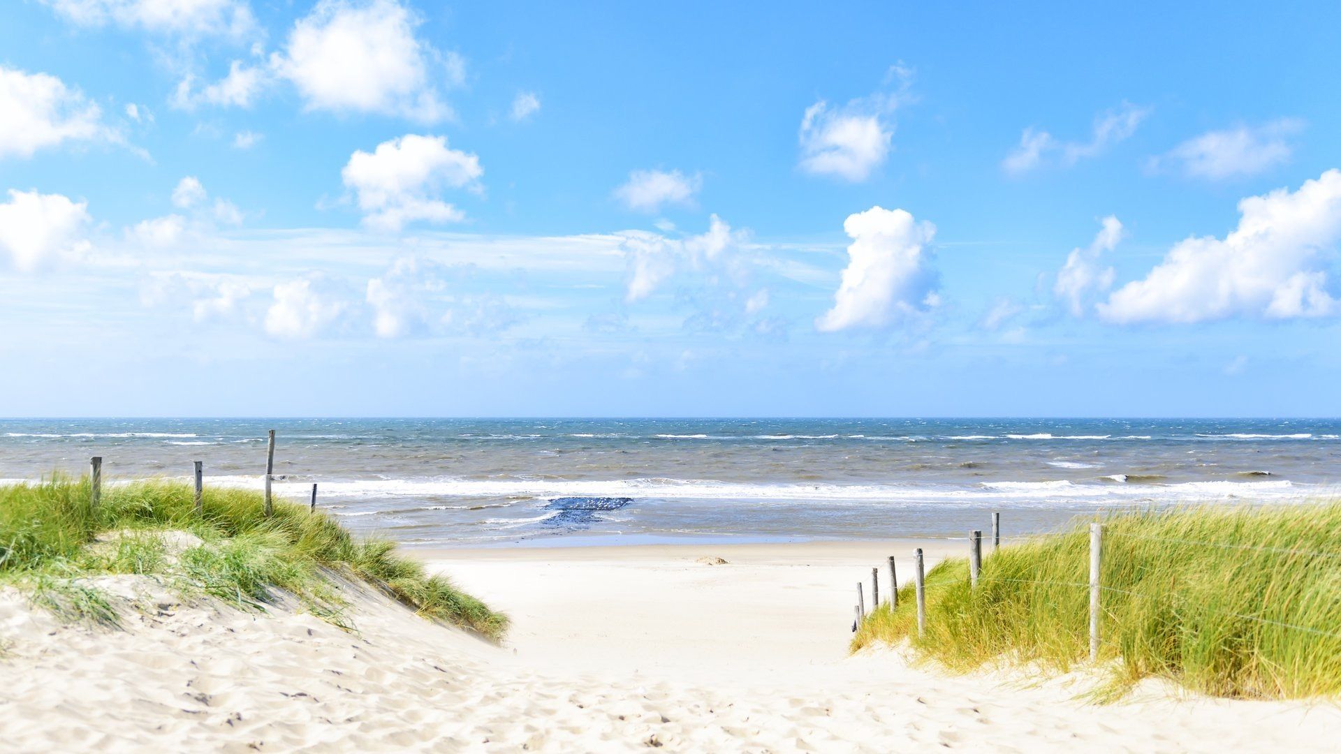 How Close Can I Beach background