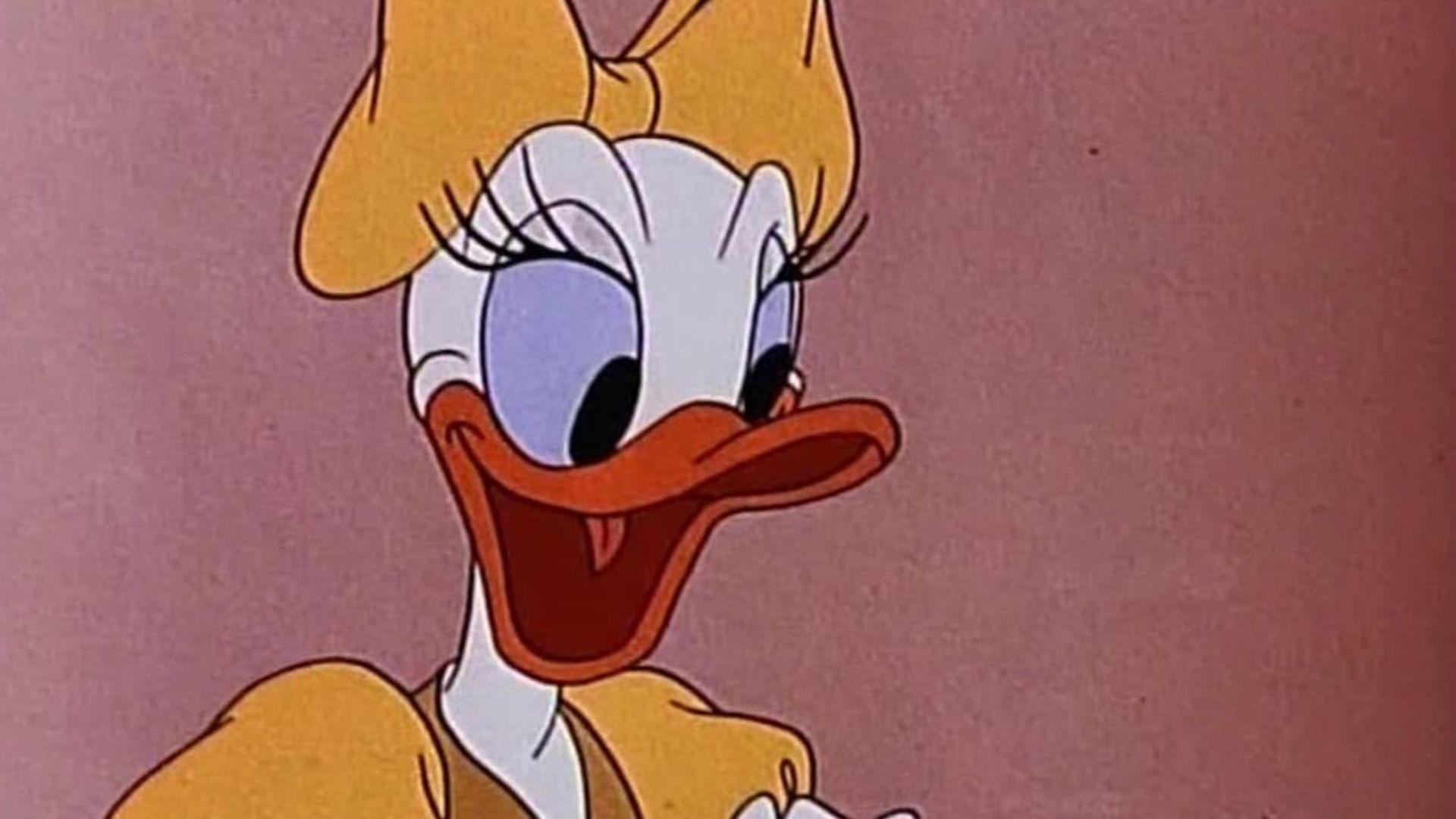 Cured Duck background