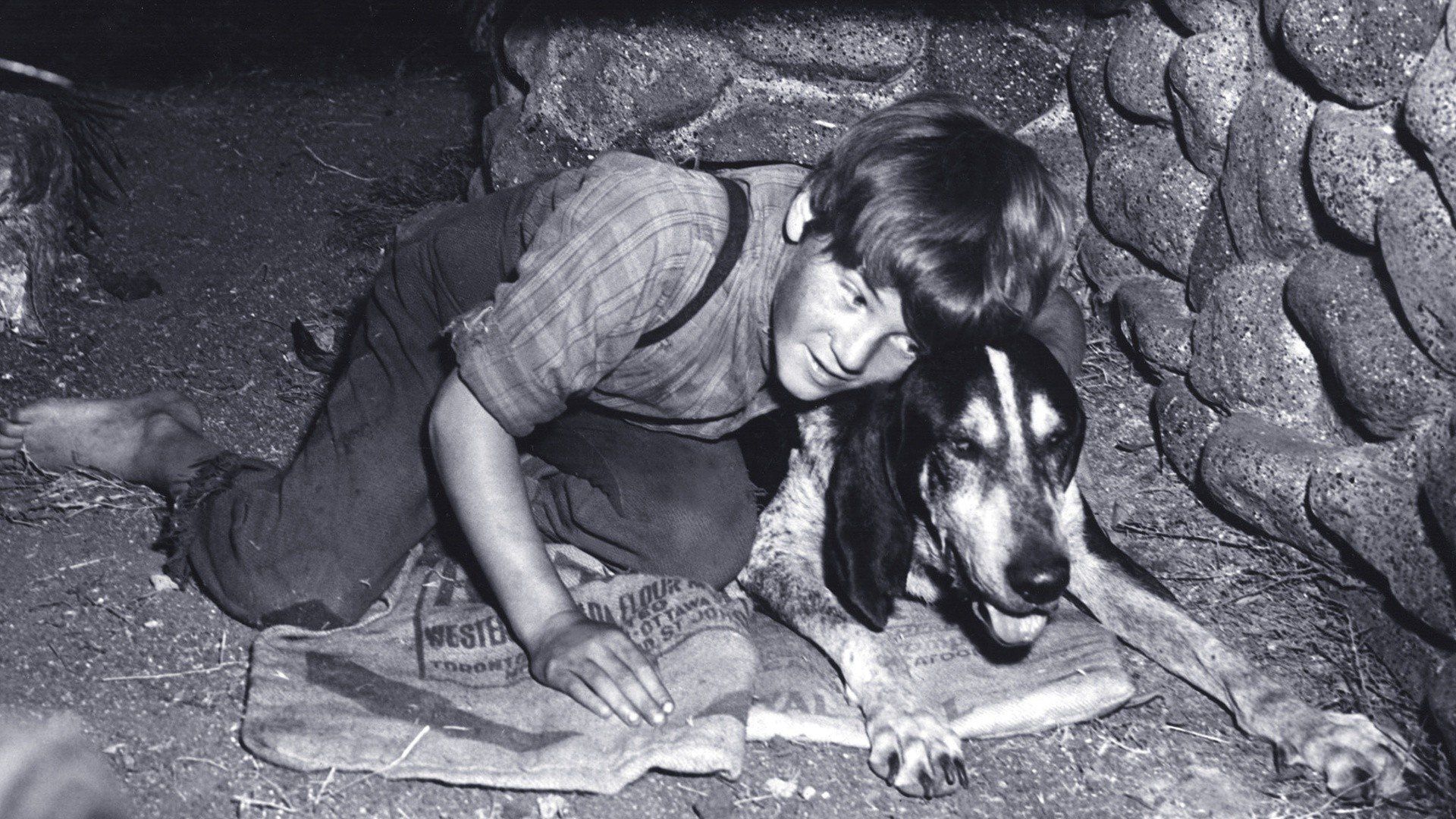 A Boy and His Dog background