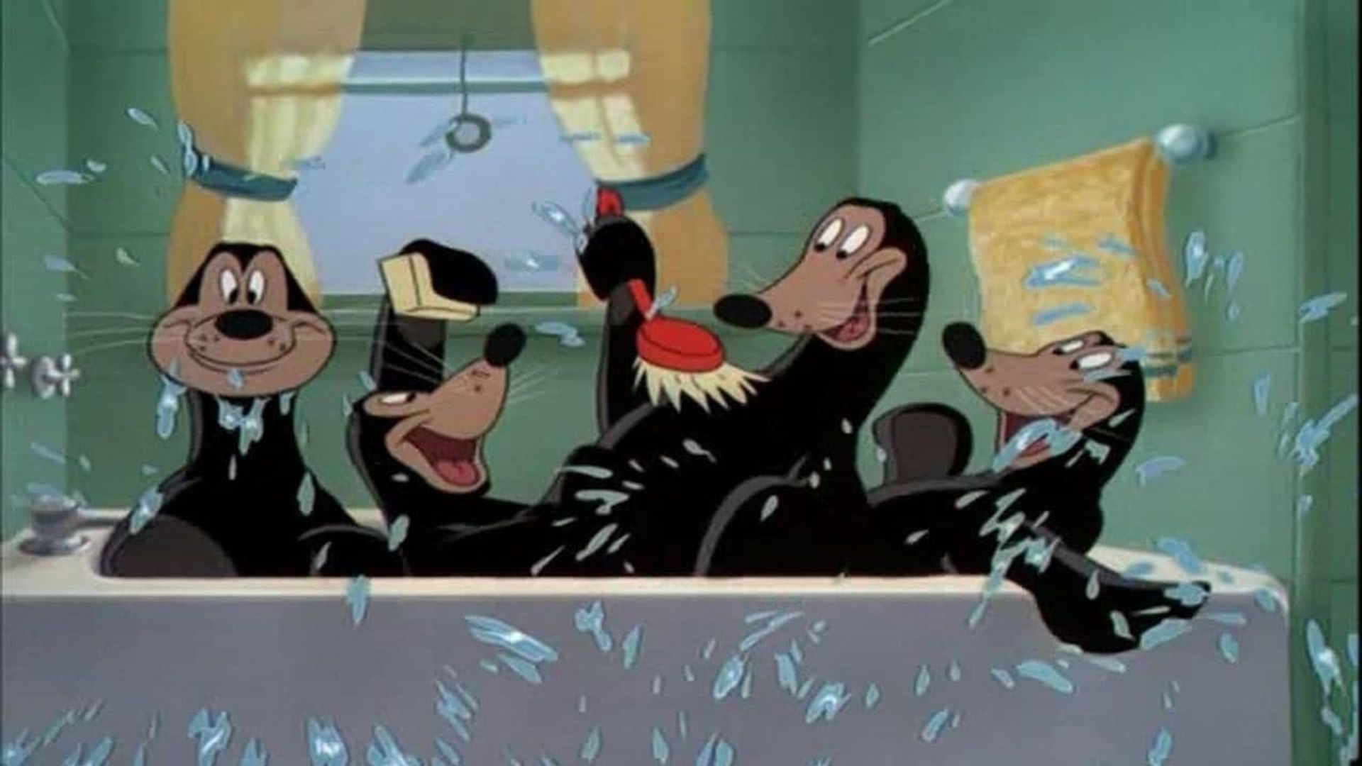 Mickey and the Seal background