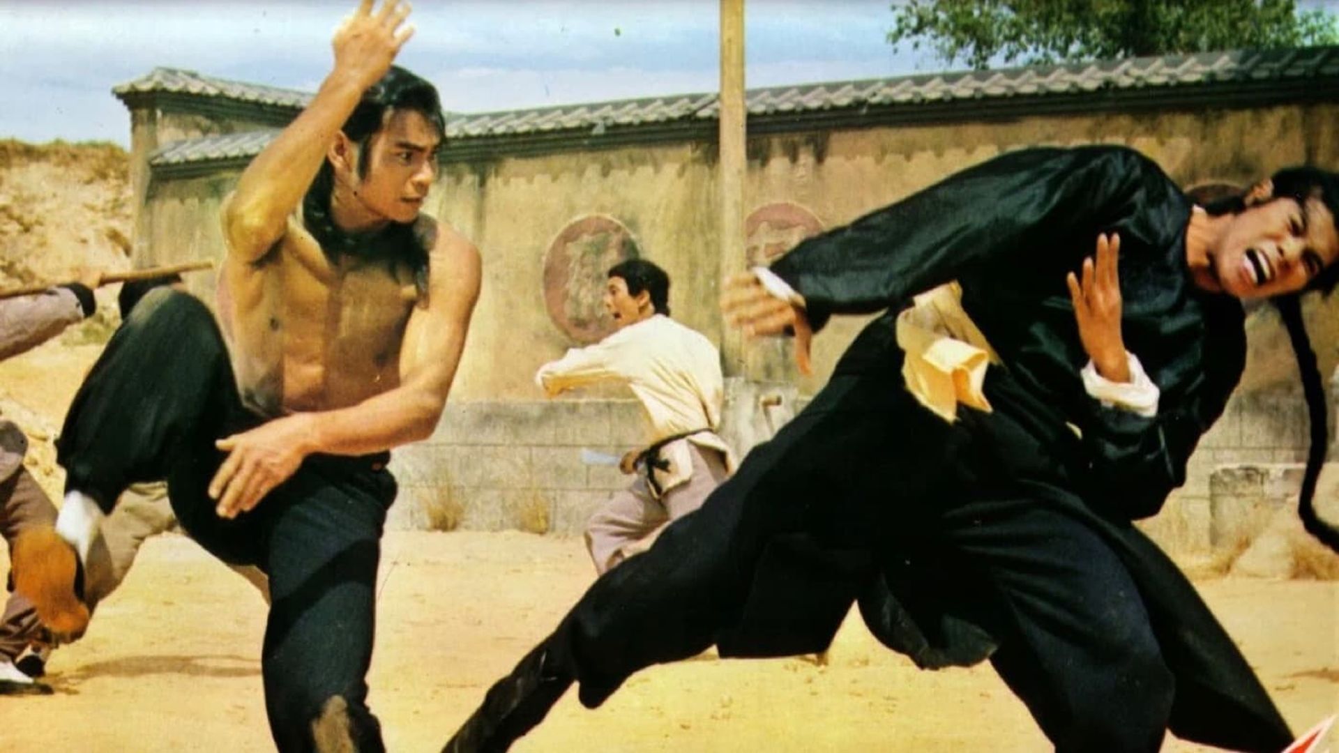Shao Lin zi di background