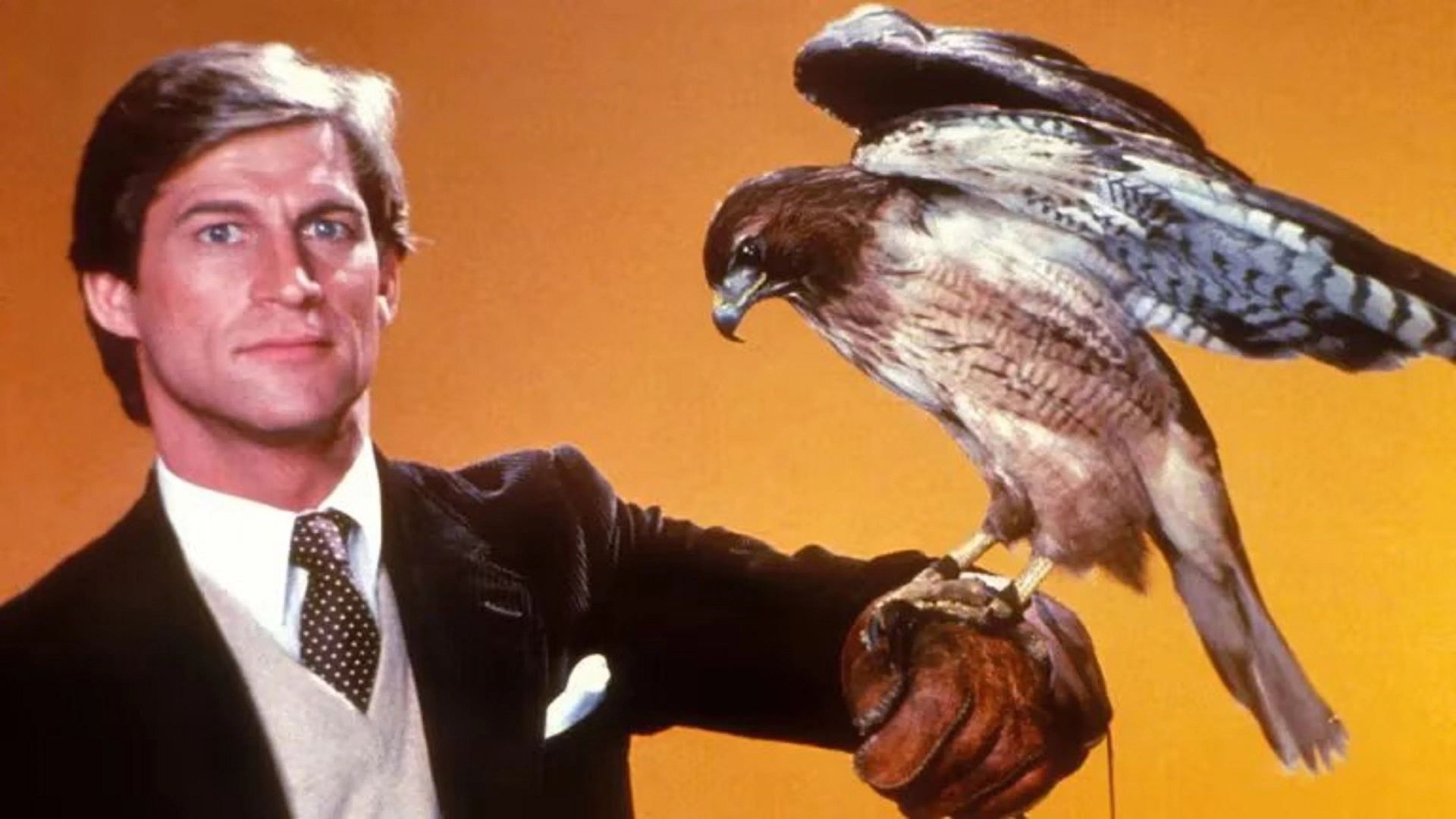 Manimal background