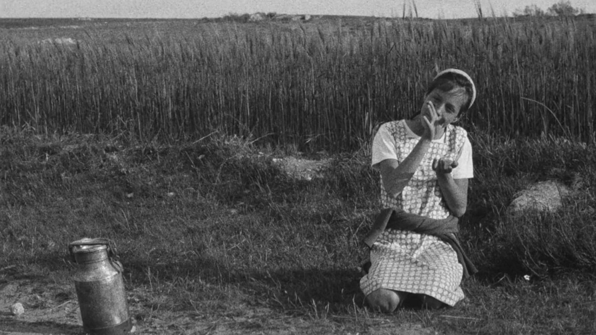 Los motivos de Berta background