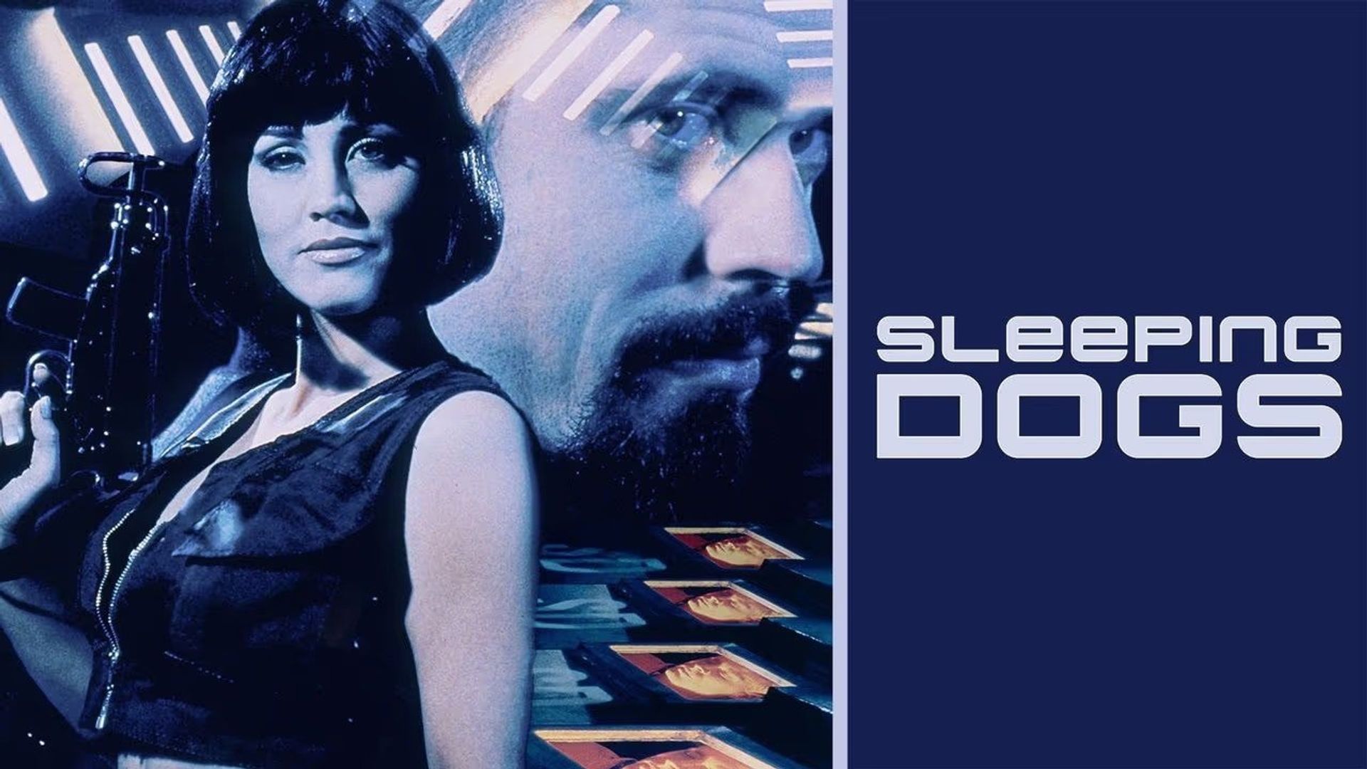 Sleeping Dogs background