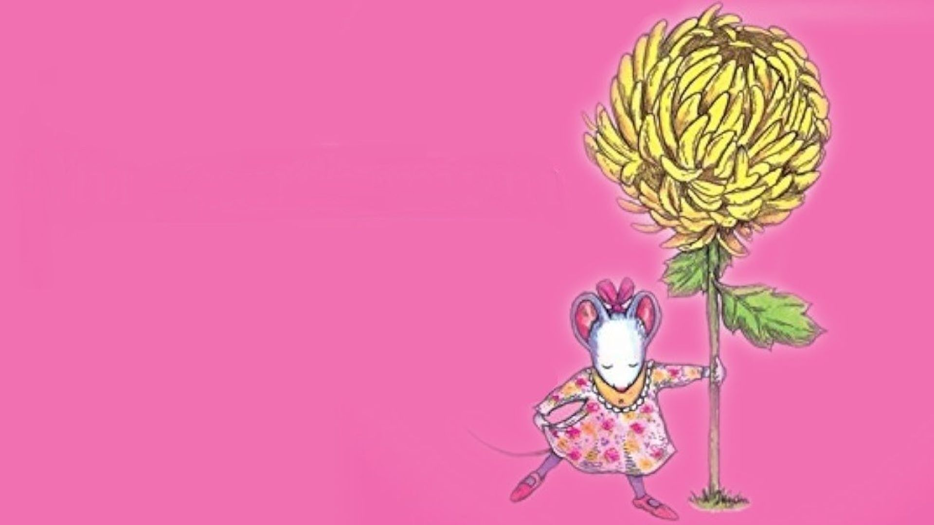 Chrysanthemum background