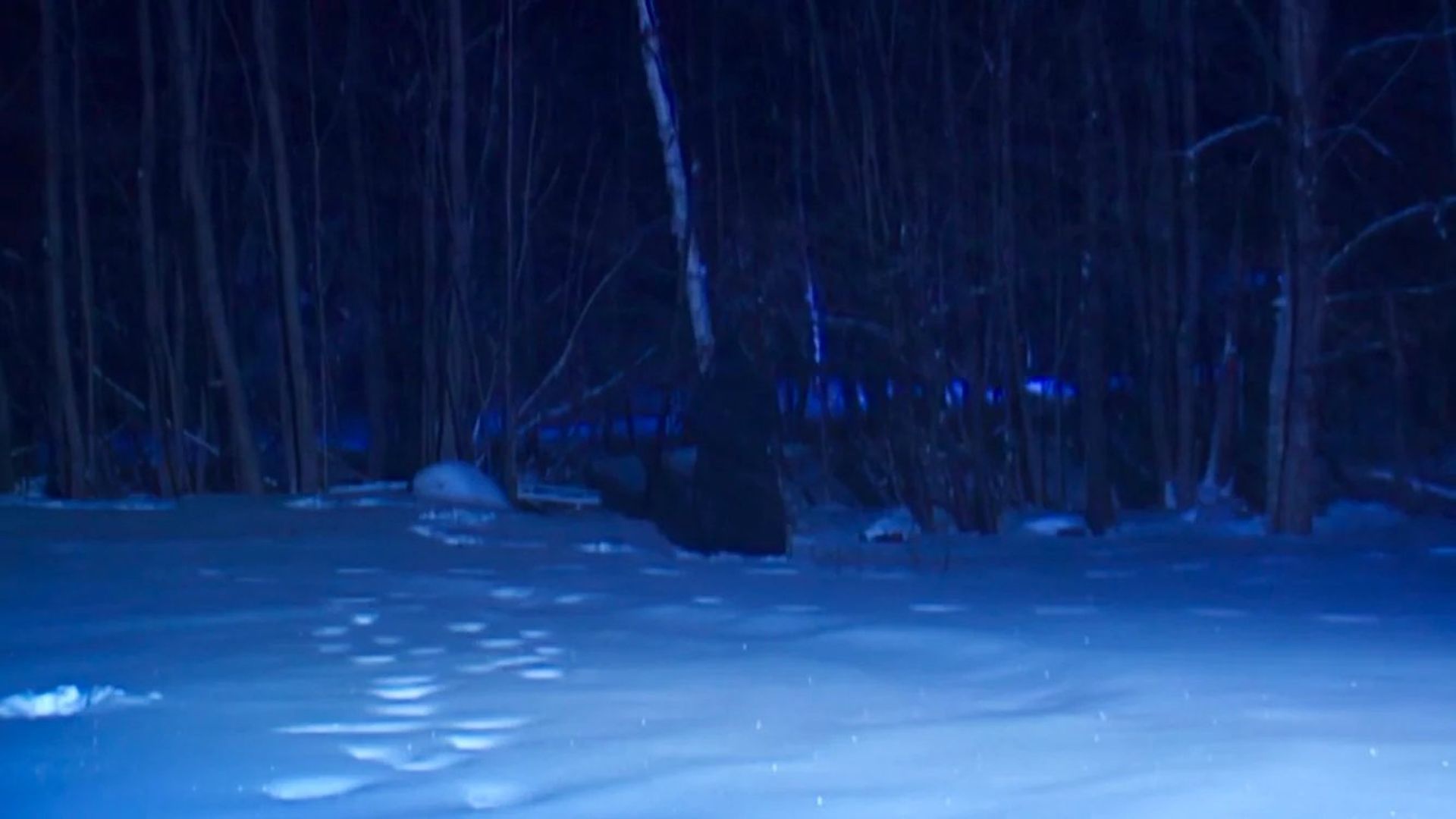 Hardcore Poisoned Eyes background