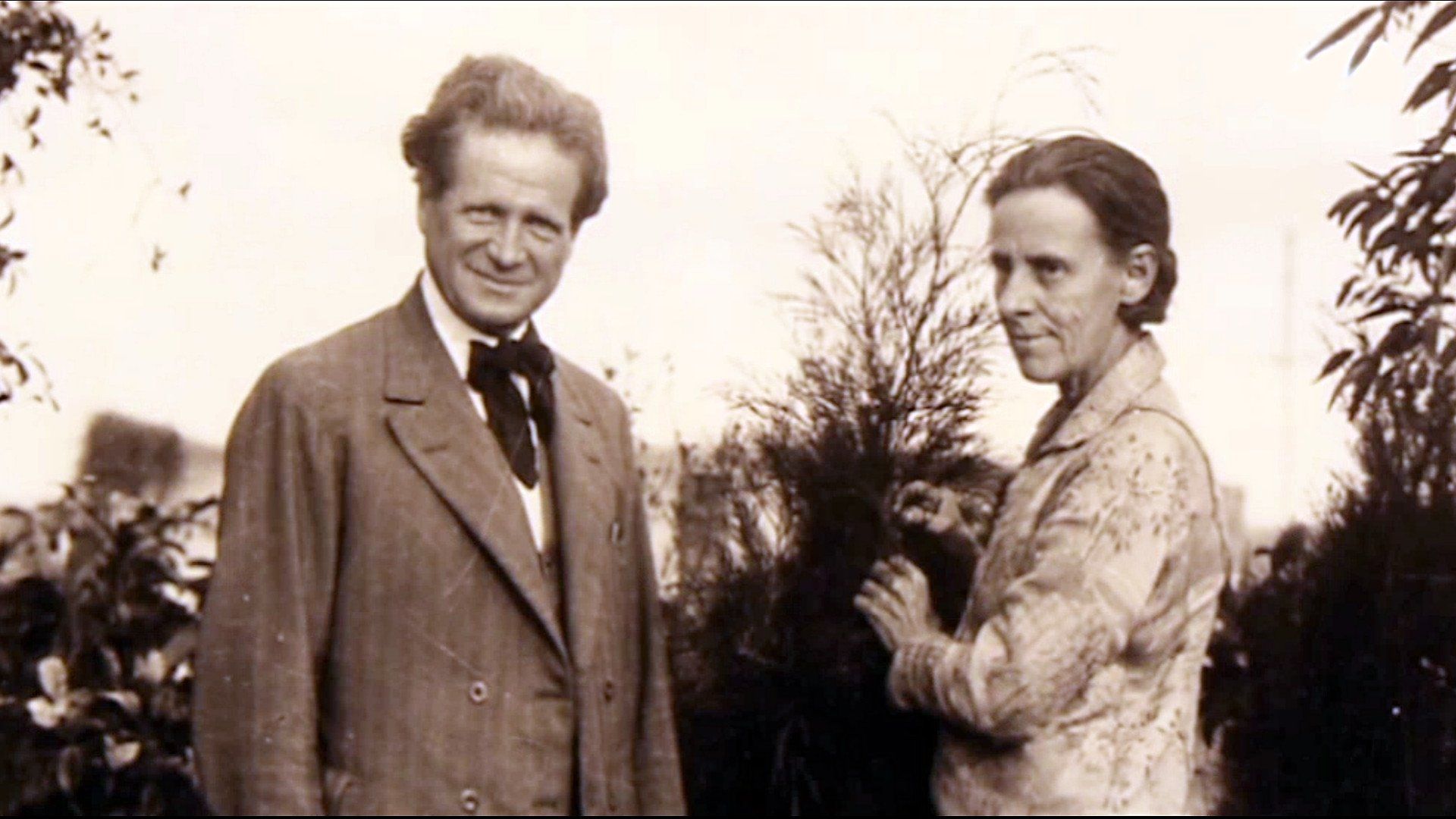 City of Dreams background