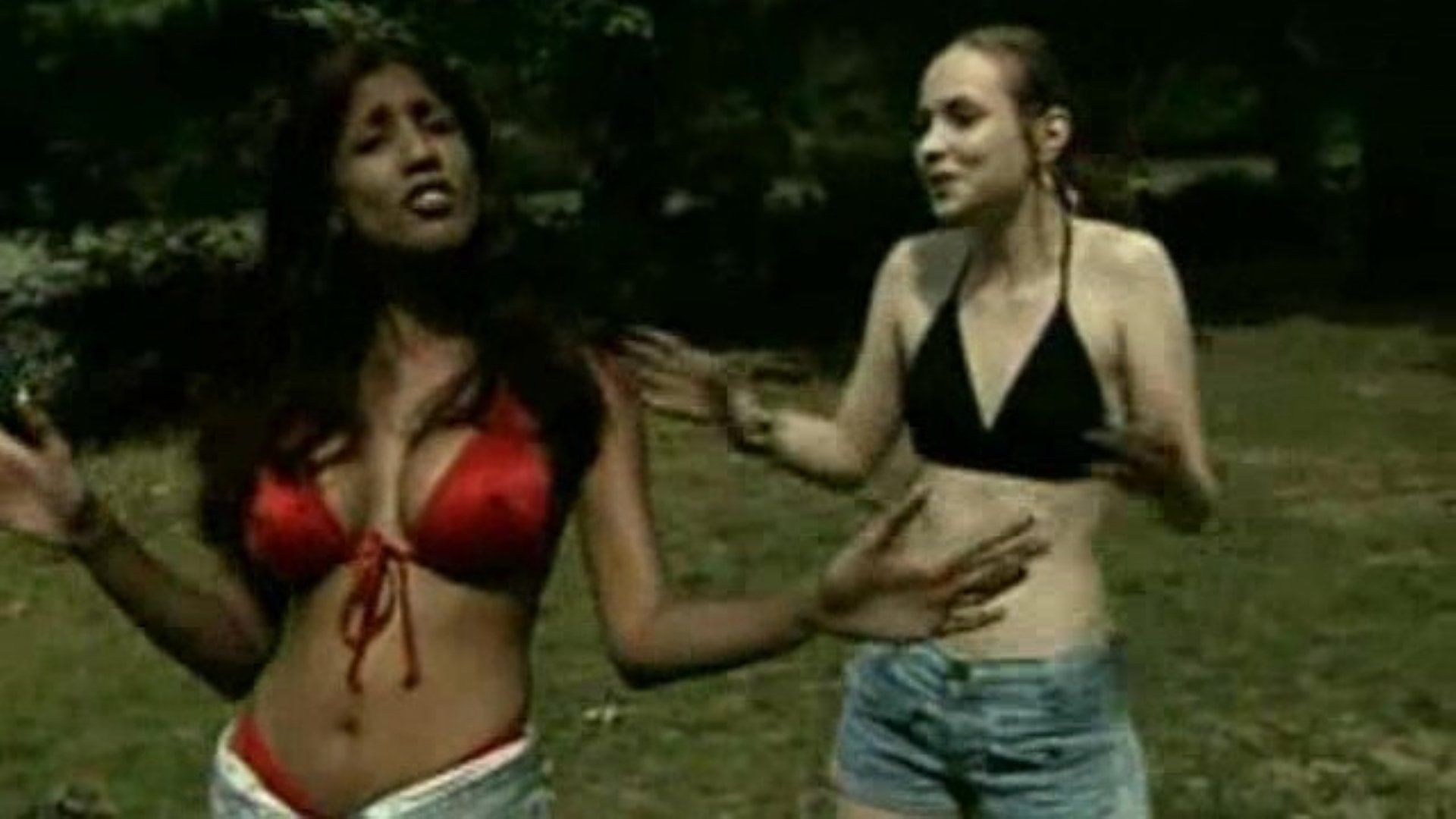 Erotic Survivor background
