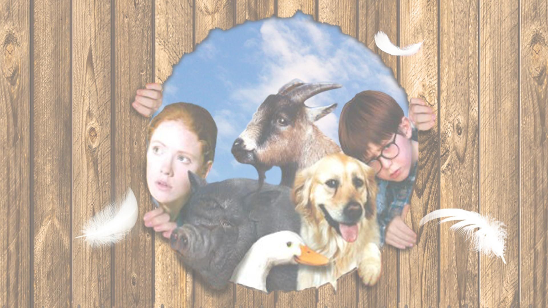 Pets to the Rescue background