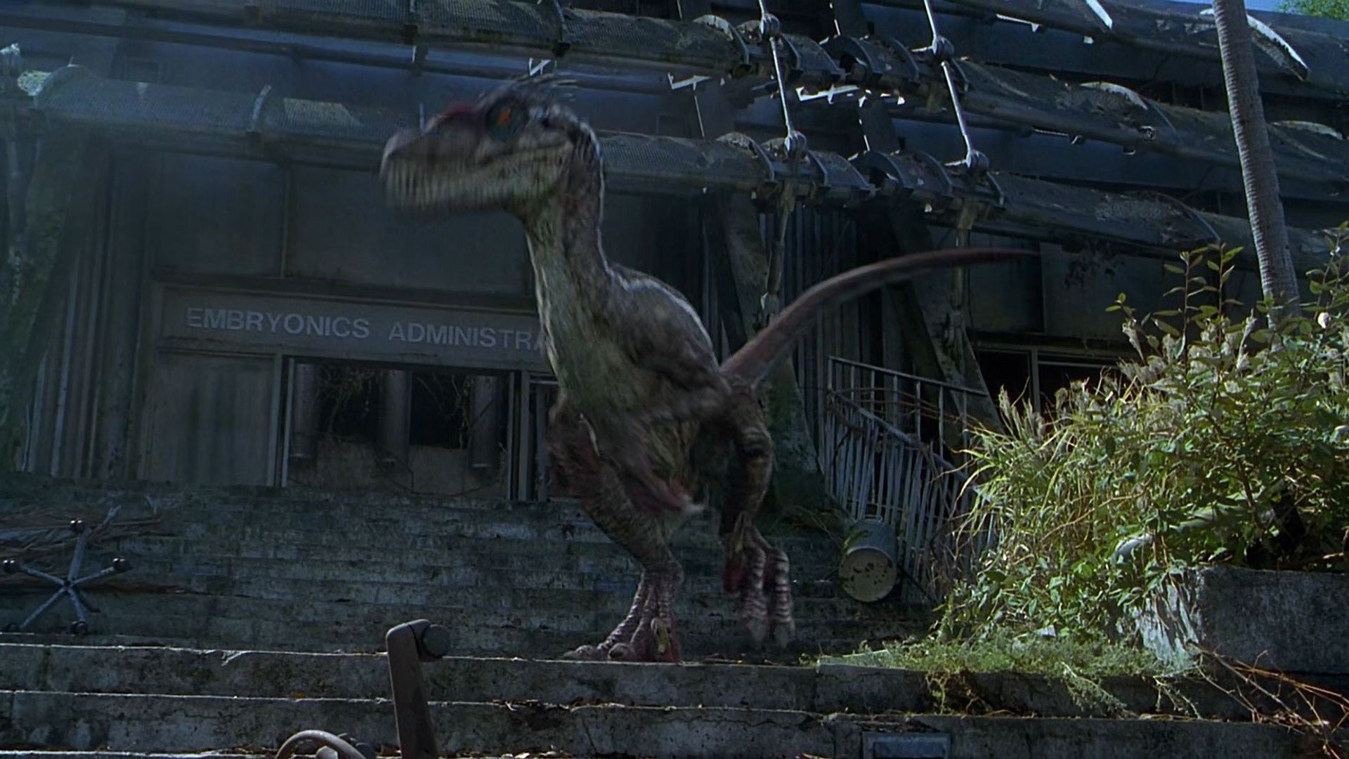 Beyond Jurassic Park background
