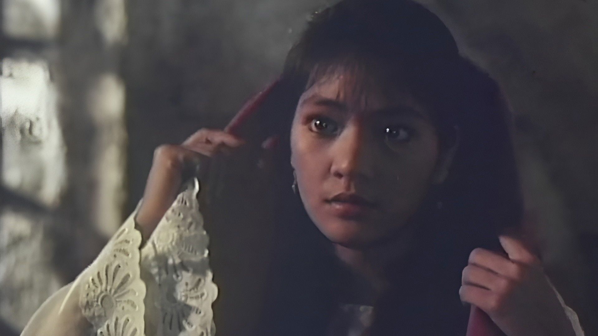 Virgin Forest background