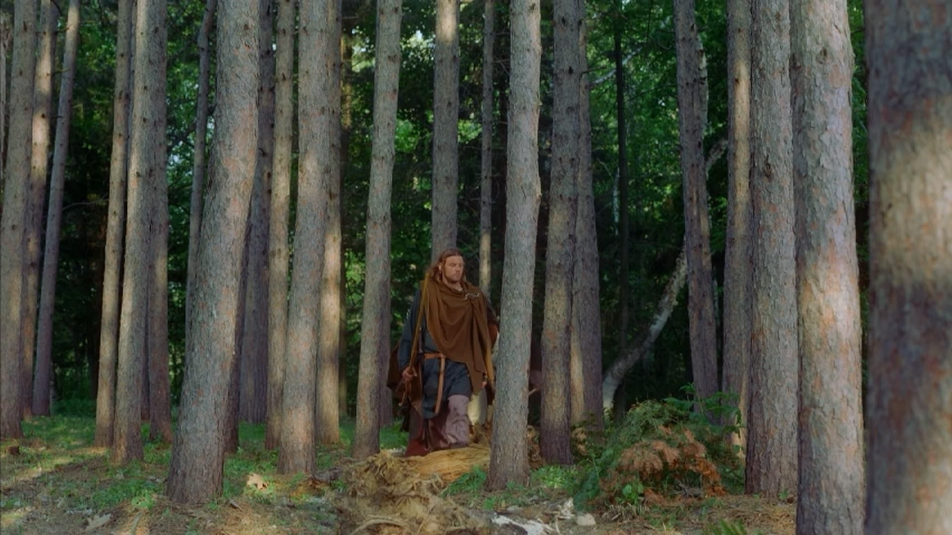 Vikings: Journey to New Worlds background