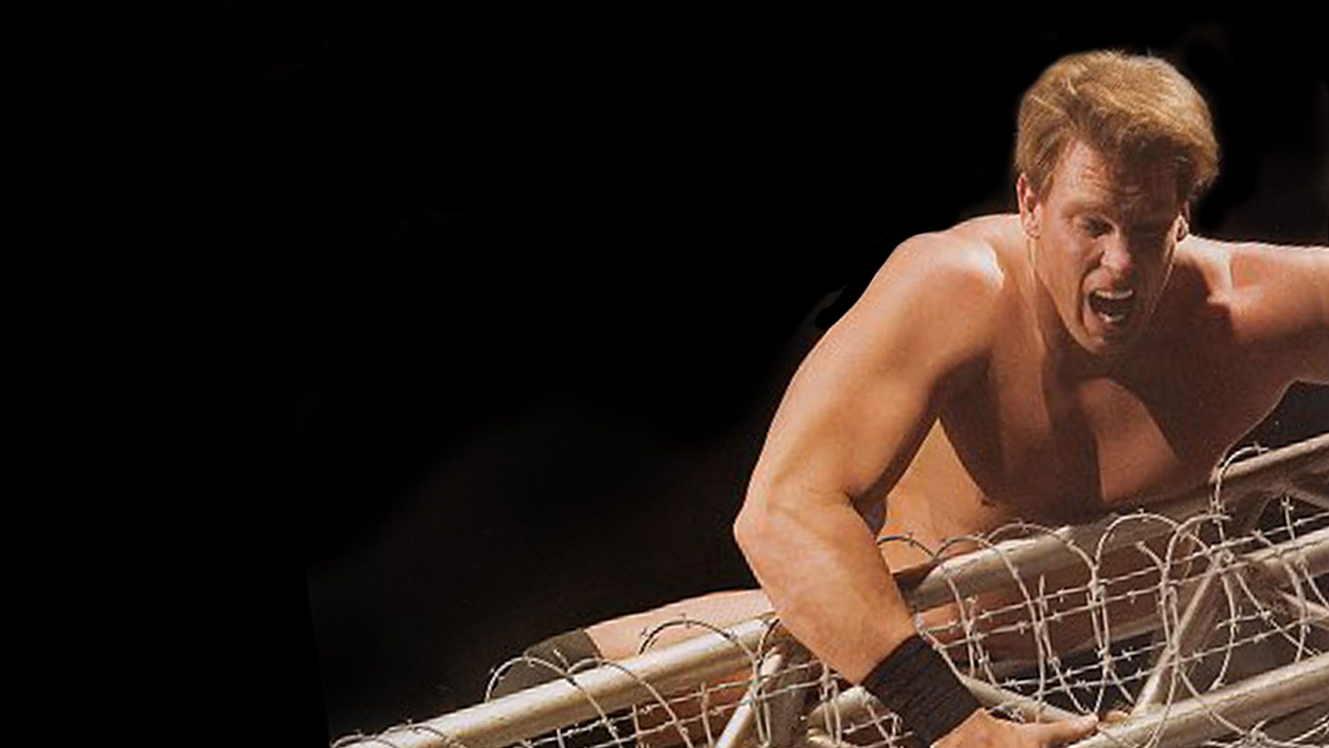 WWE No Way Out background