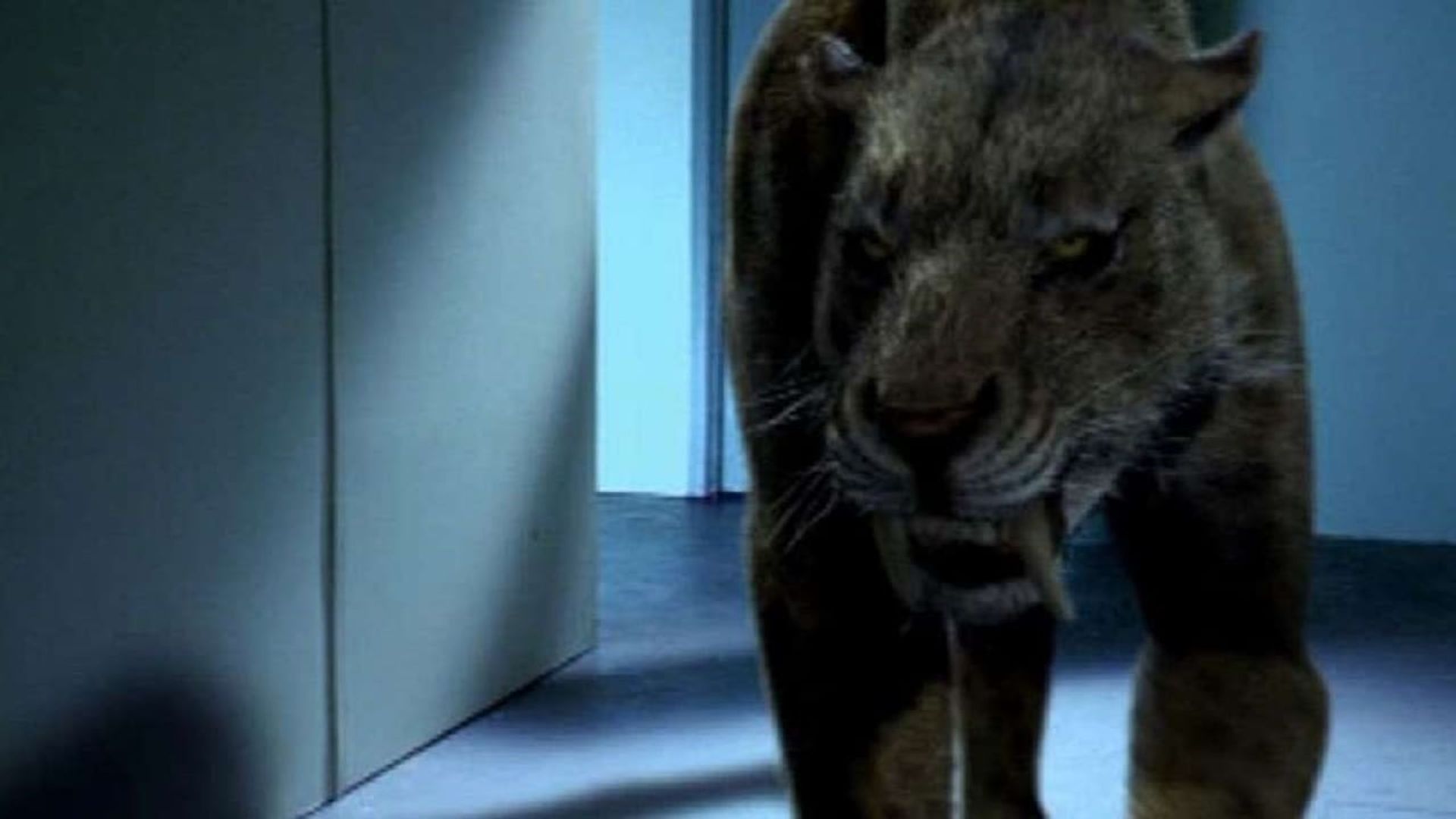 Attack of the Sabertooth background