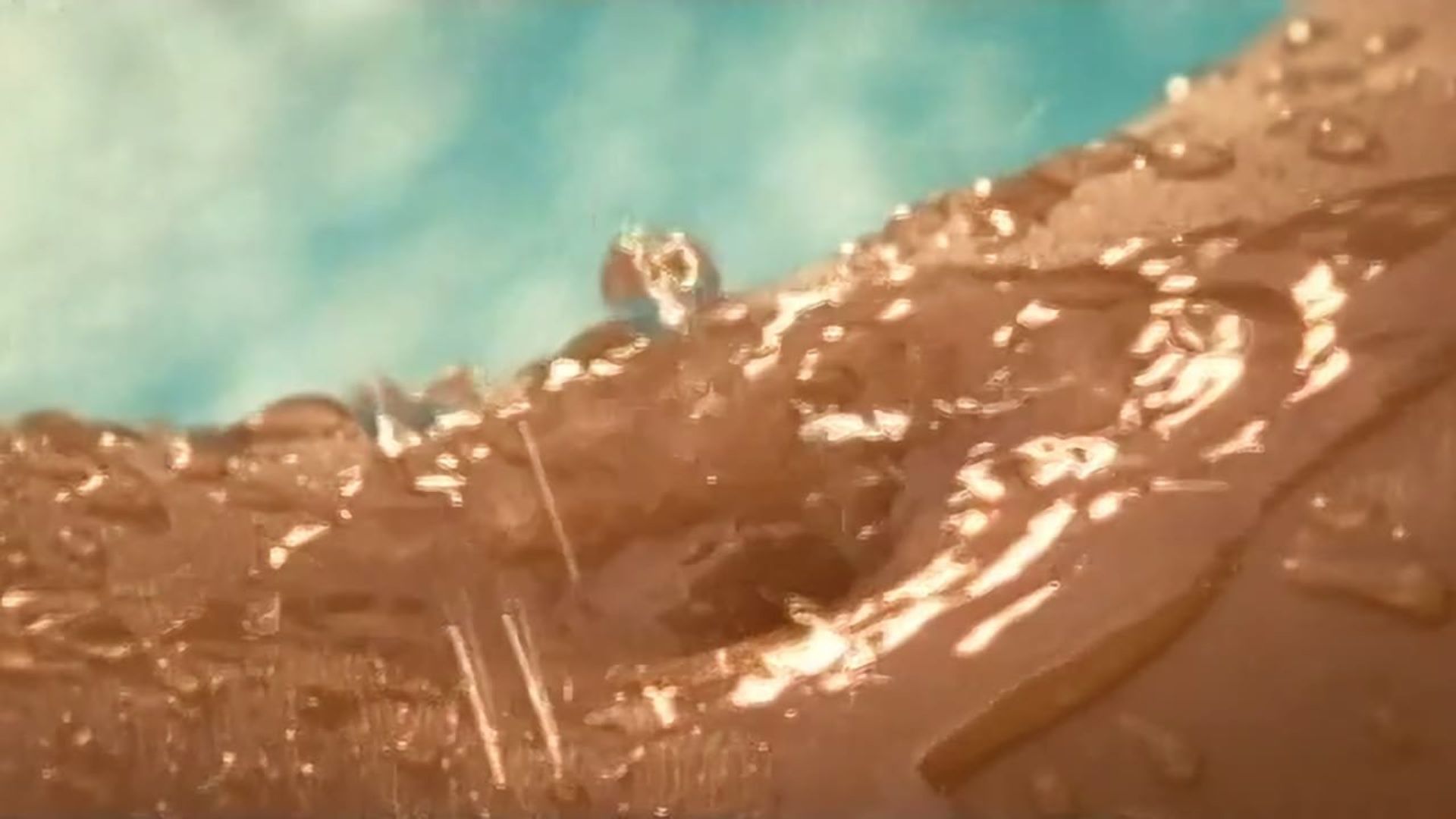 Playboy: Wet & Wild V background