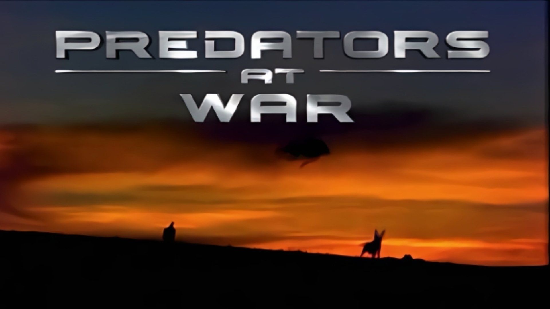 Predators at War background