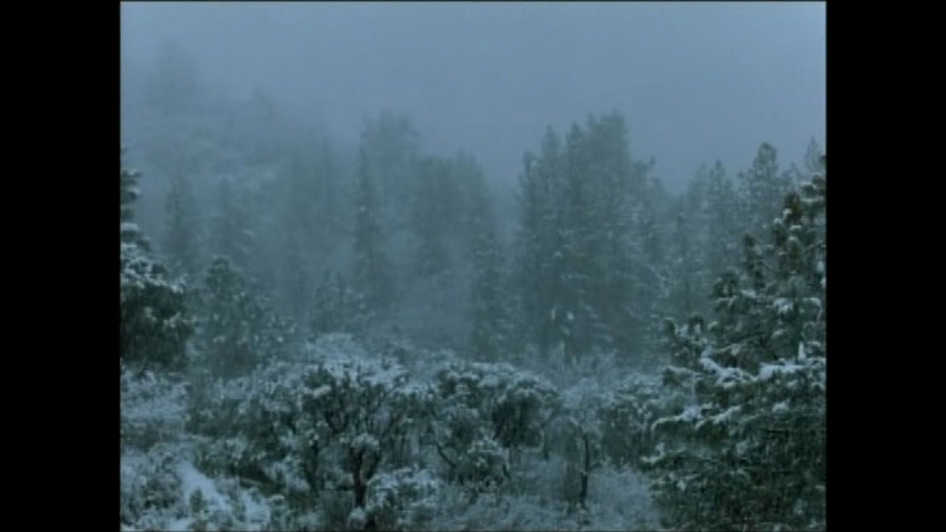 Pine Flat background