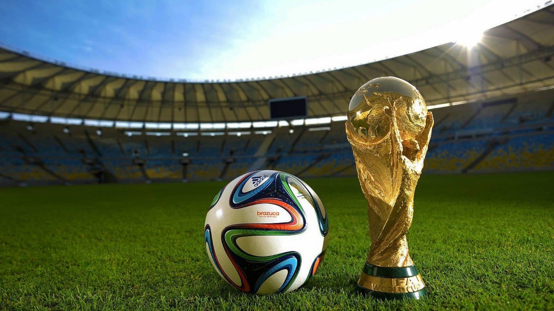 FIFA Fever background