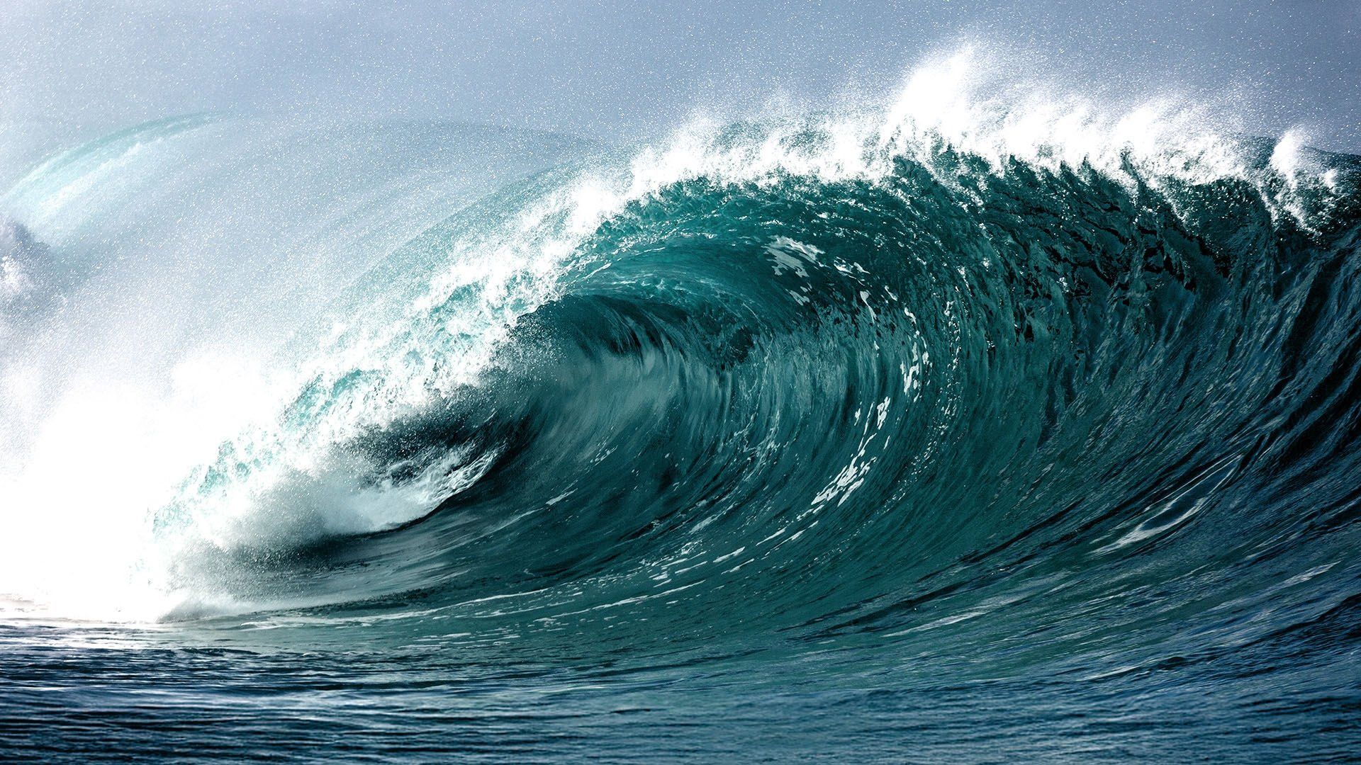 Tsunami: The Wave That Shook the World background
