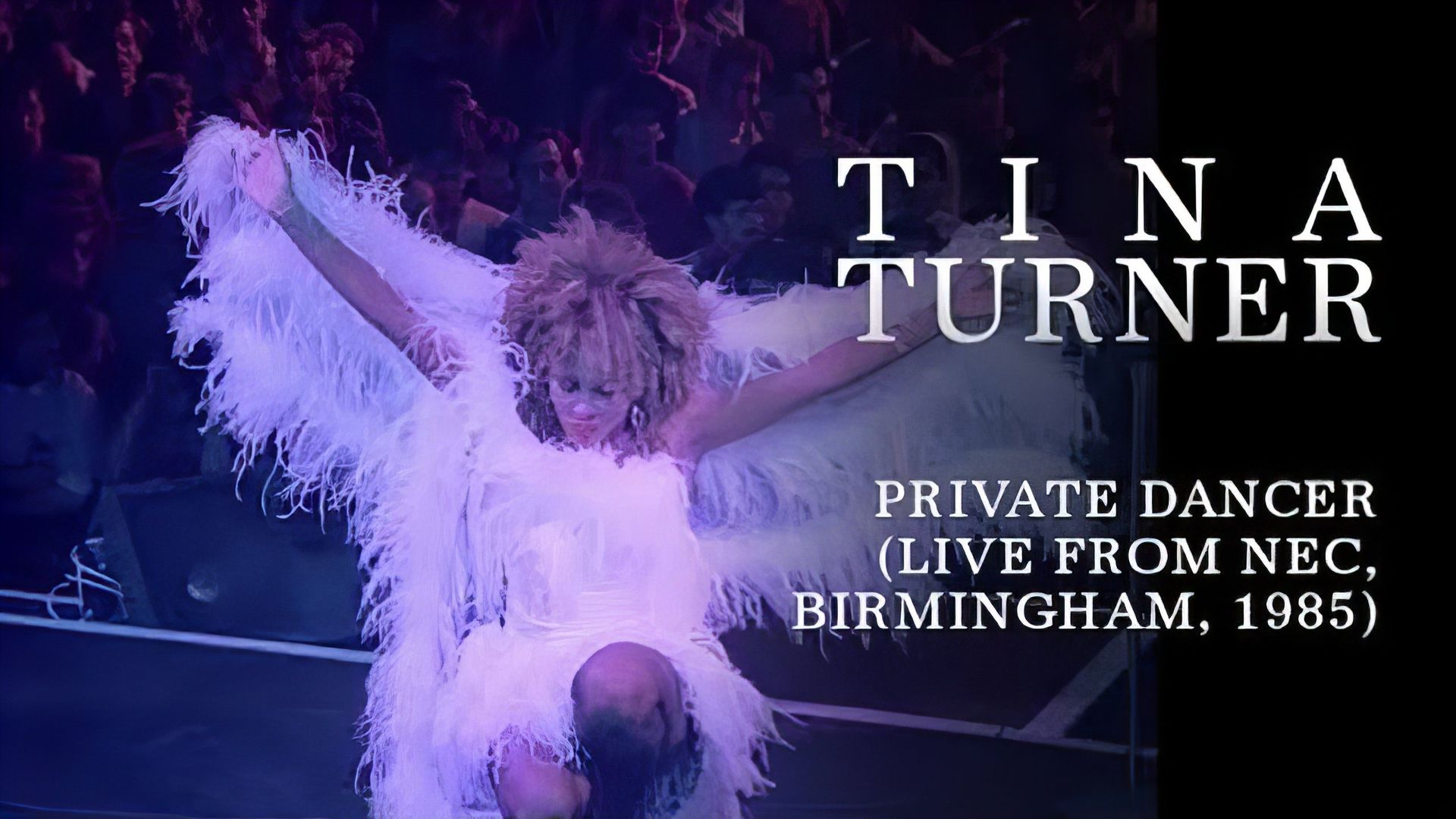 Tina Turner: Private Dancer background