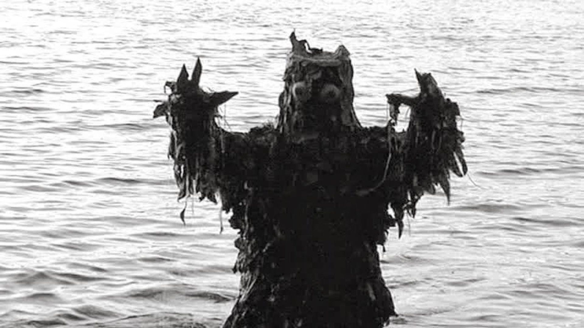 The Monster of Phantom Lake background