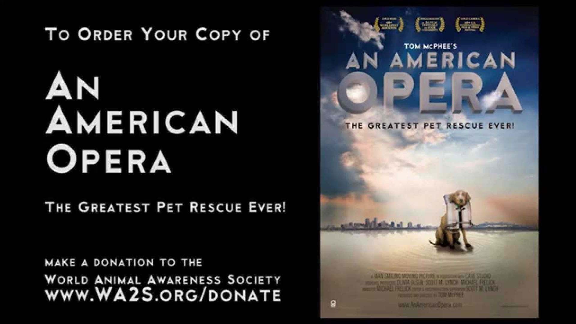 An American Opera background