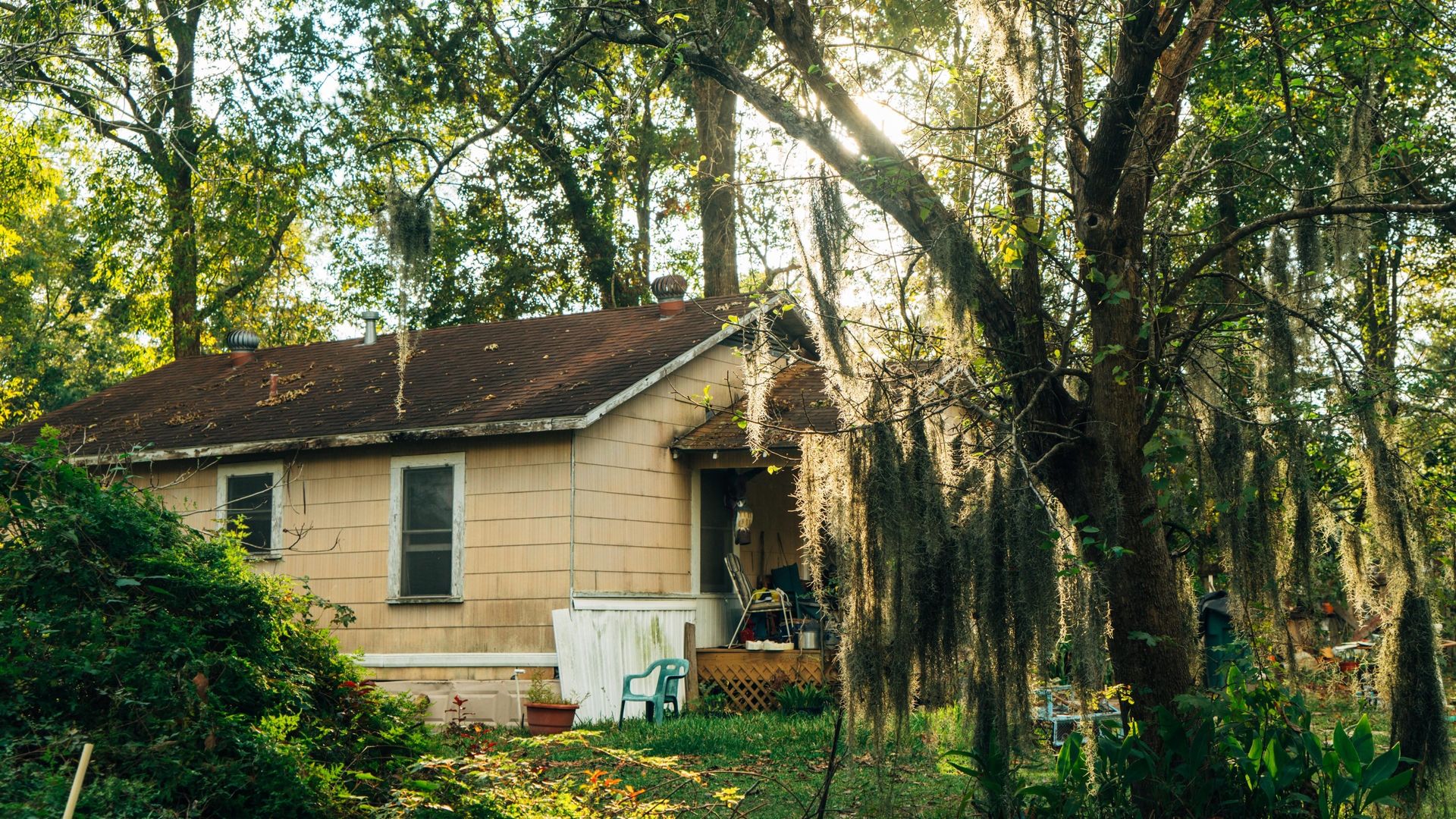 Mossville: When Great Trees Fall background