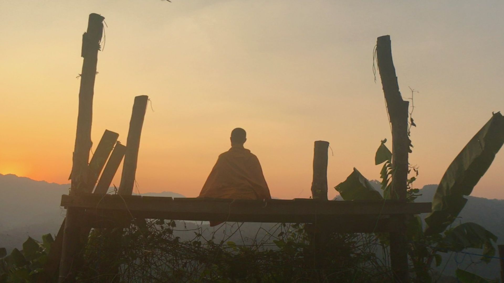 The Odd Monk background