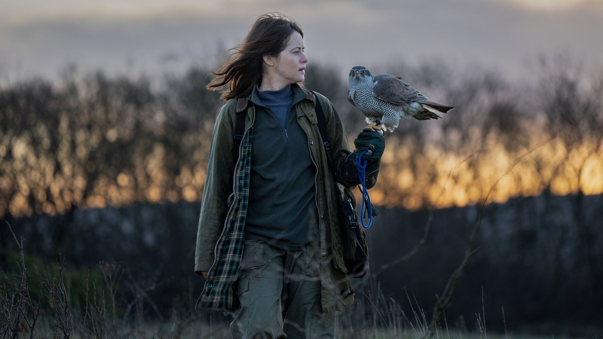 H Is for Hawk background
