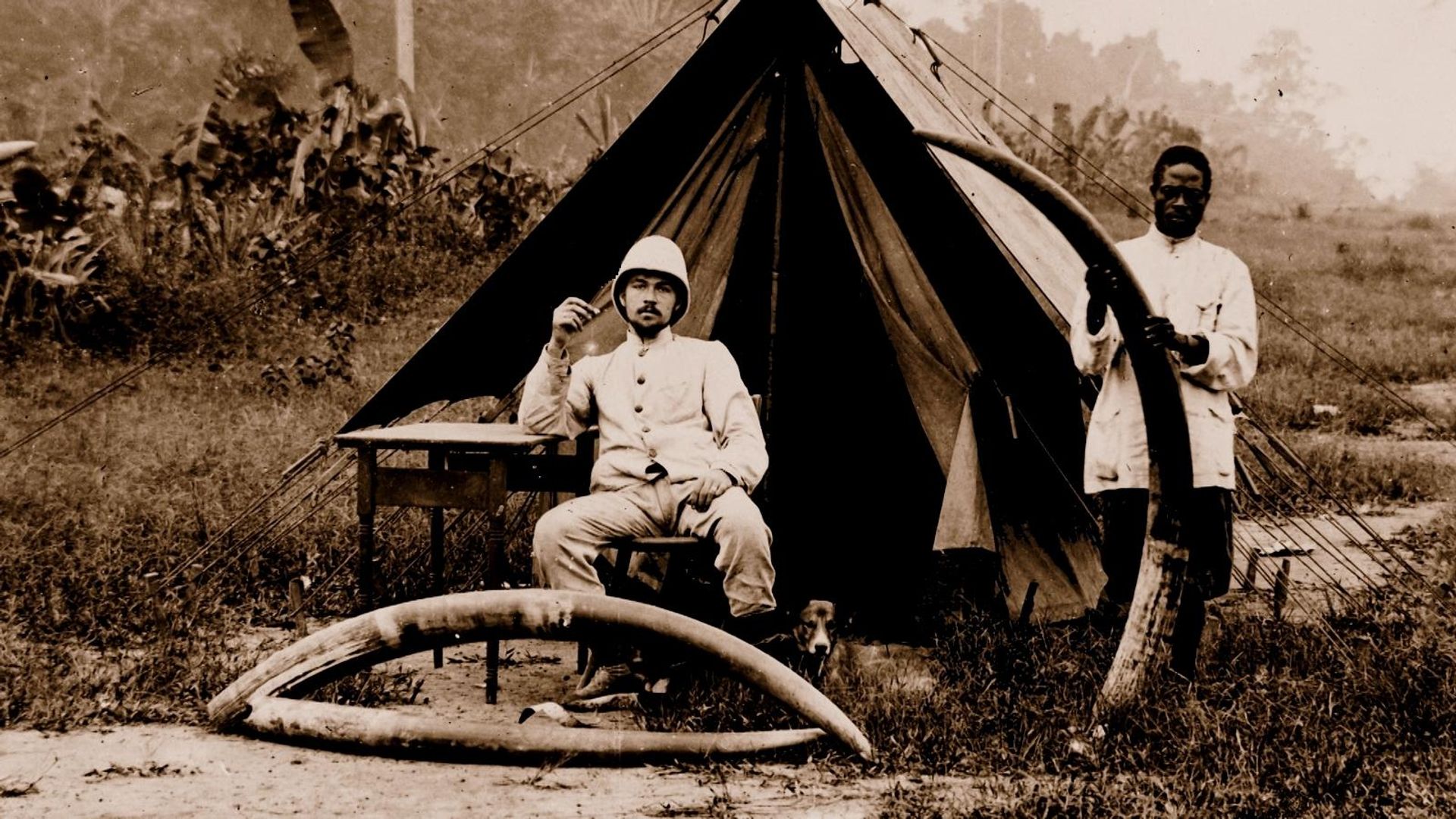 Totems and Taboos background