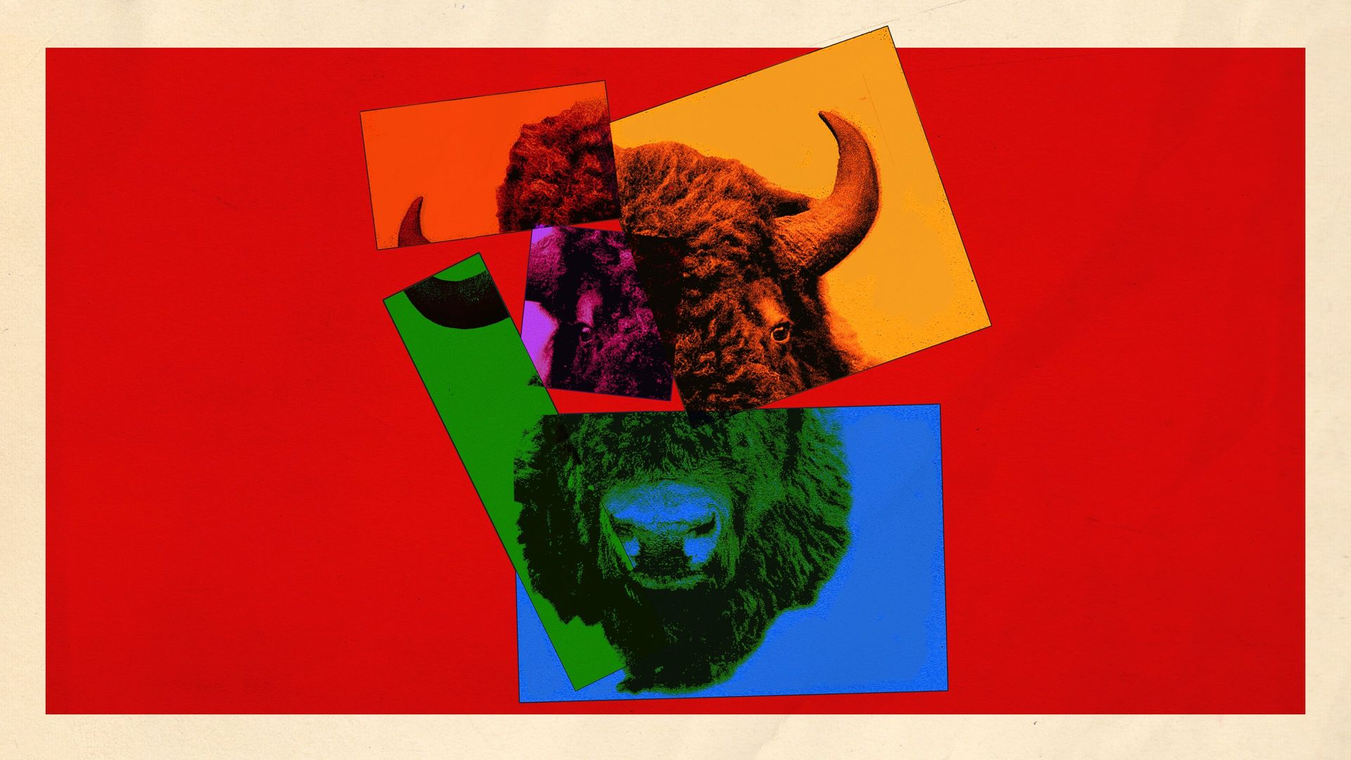 The Buffalo Hunt background